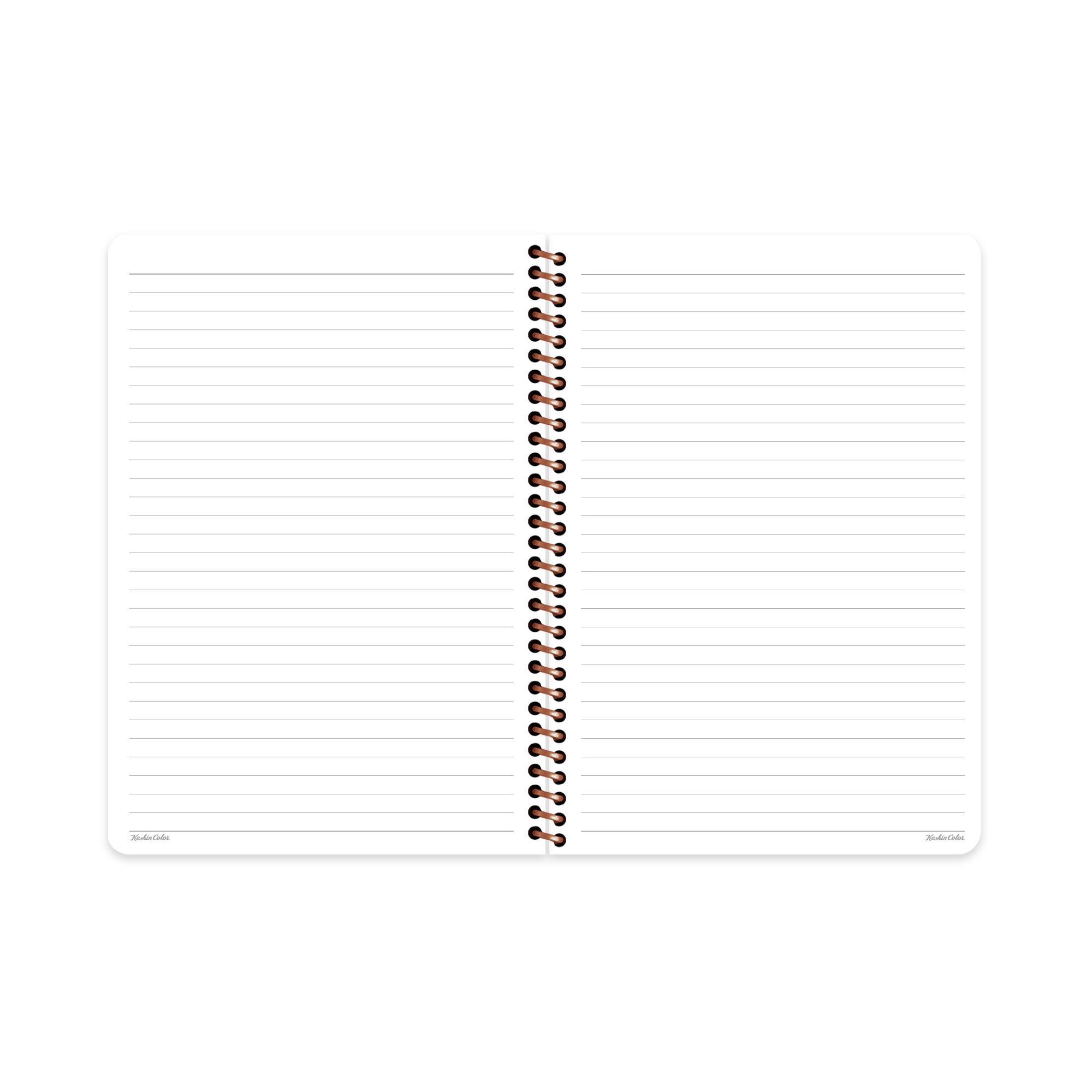 Çizgili Spiralli Sert Kapak Defter La Plume Balloon Turuncu 20x28