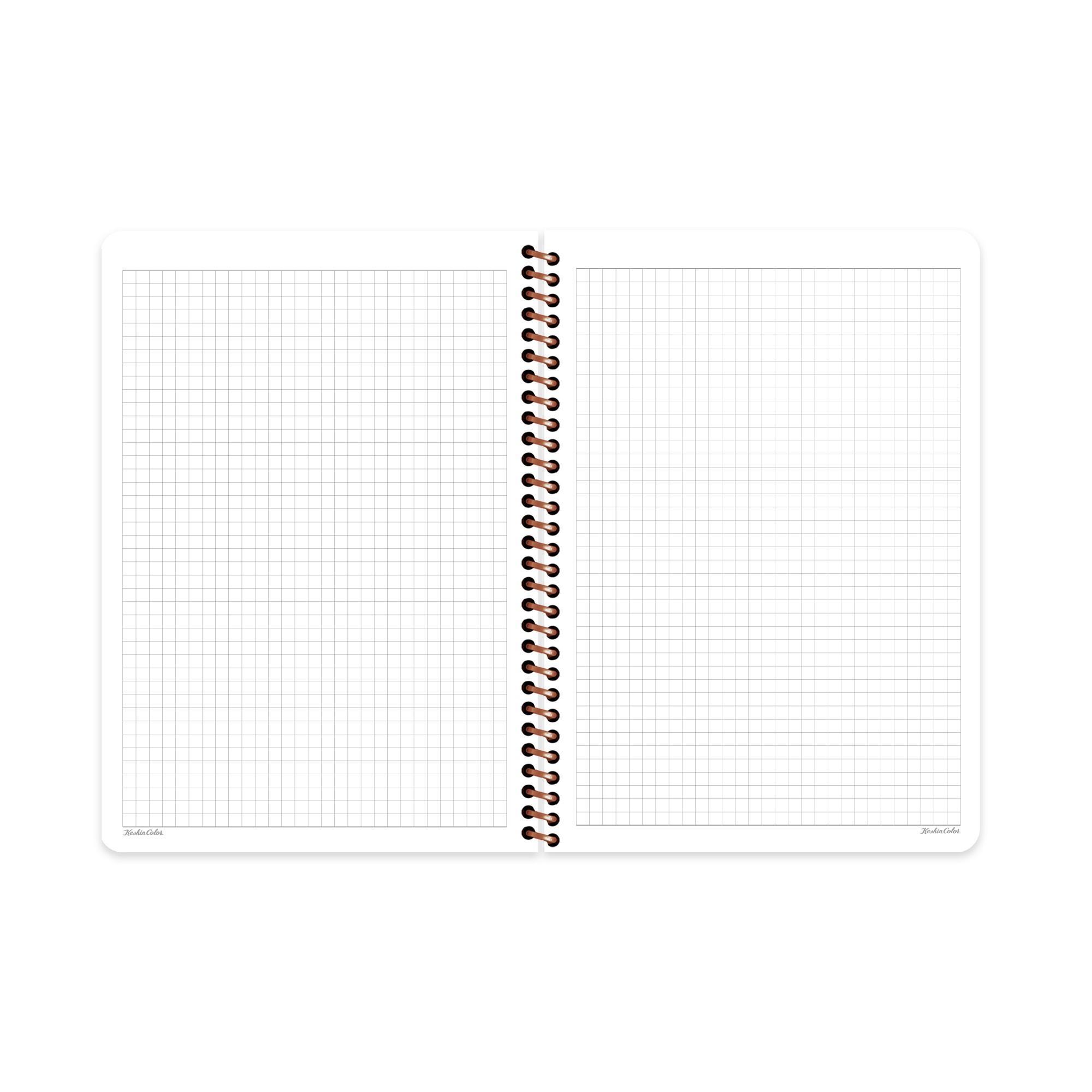 Kareli Spiralli Sert Kapak Defter La Plume Balloon Mor 20x28