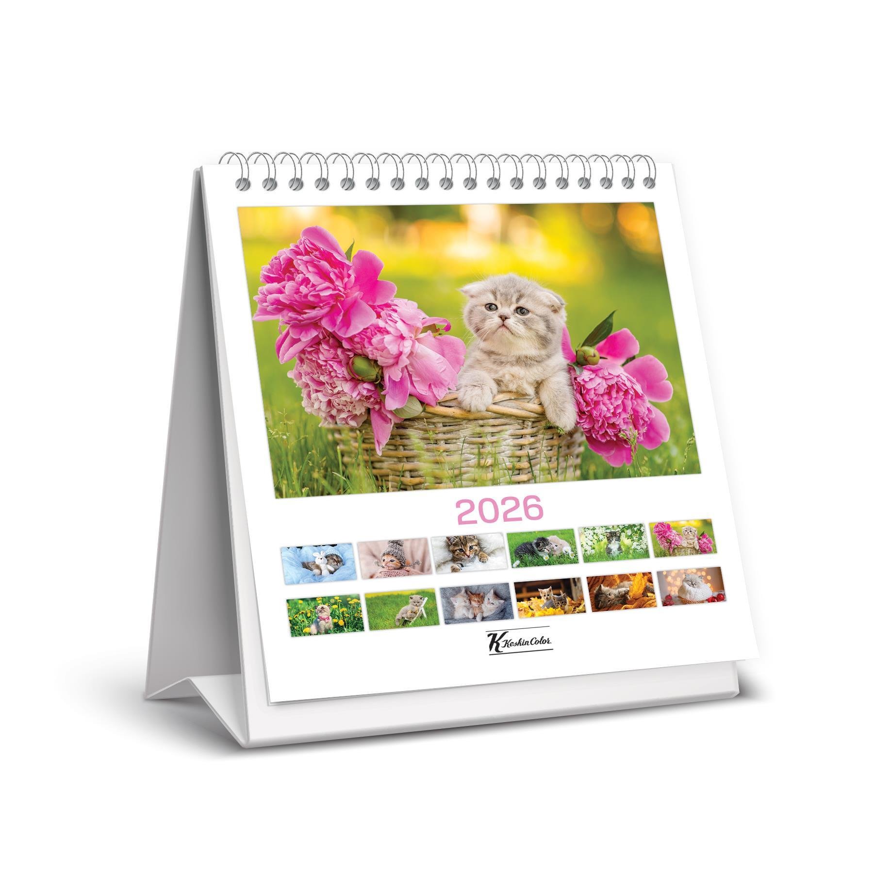 Keskin 2026-Kare Masa Takvimi - Kediler