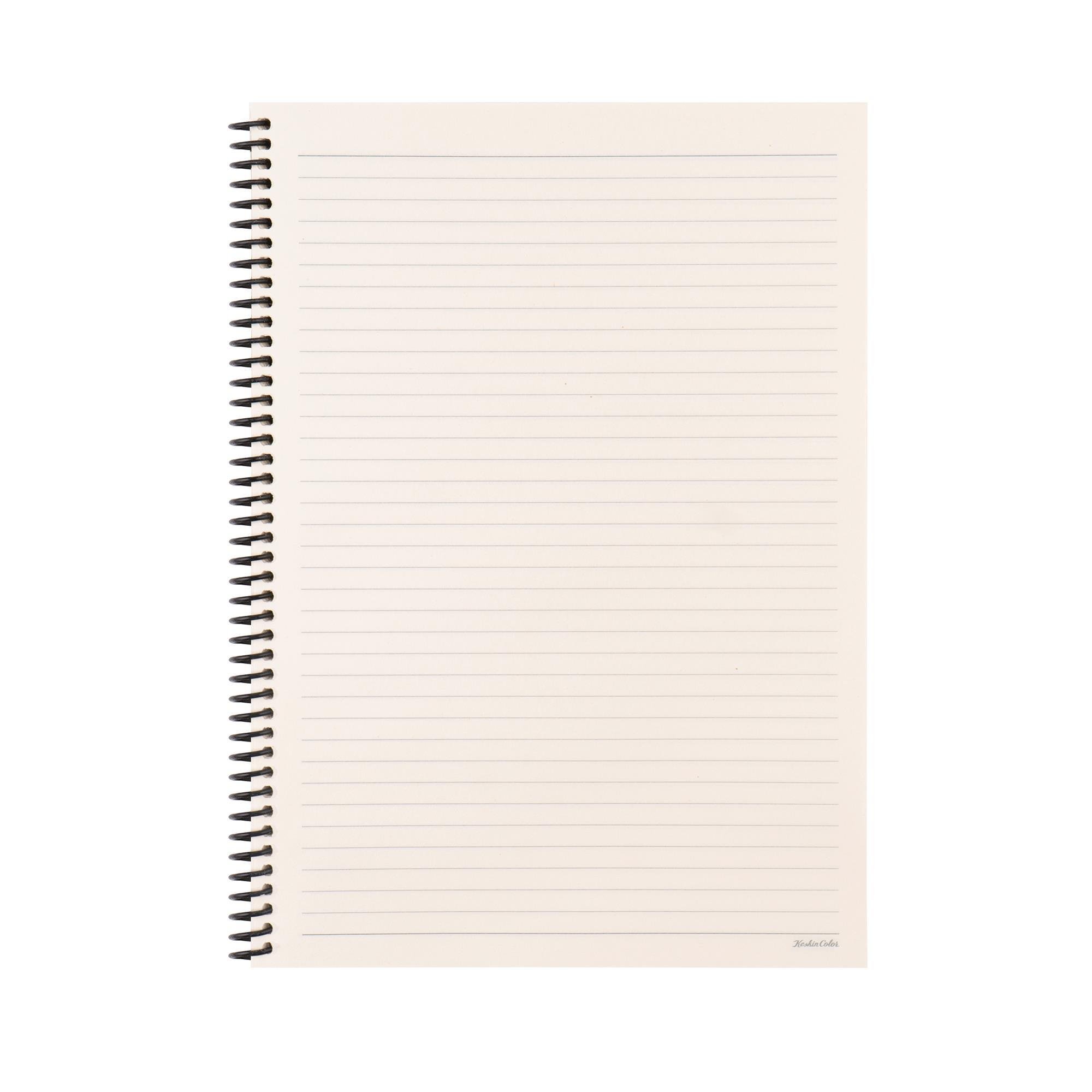 Keskin Color 20x28 Çizgili Defter La Plume Viking - Gemi