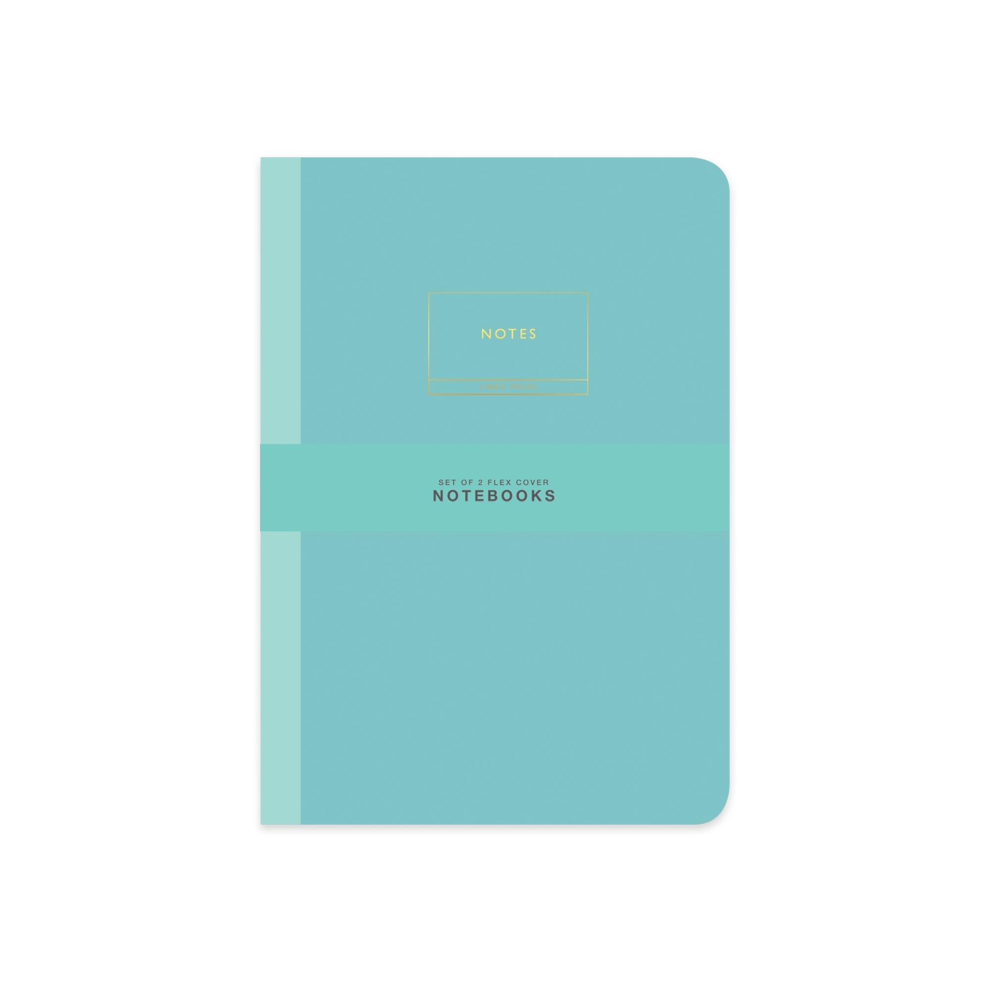 Limited Edition Terzi Dikiş 2'li Defter Seti Pastel Yeşil 17x25