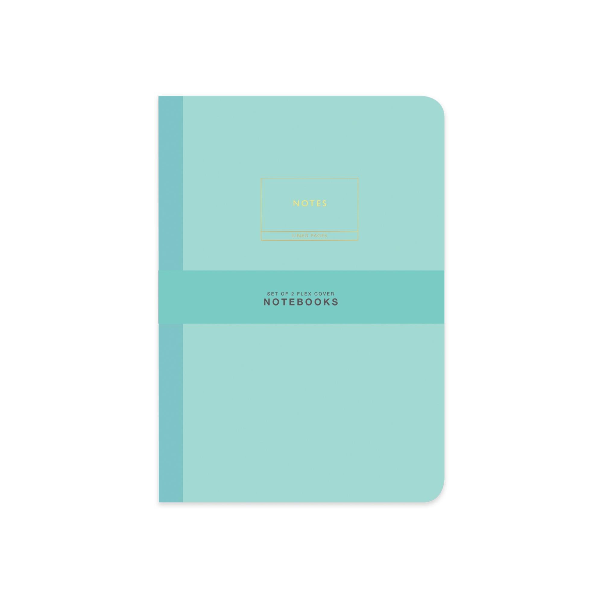 Limited Edition Terzi Dikiş 2'li Defter Seti Pastel Yeşil 17x25