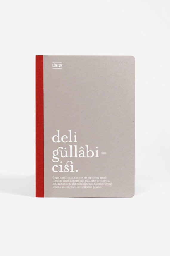 Lugat365 13x19 Karton Kapak Çizgili Defter - Deli Güllabicisi