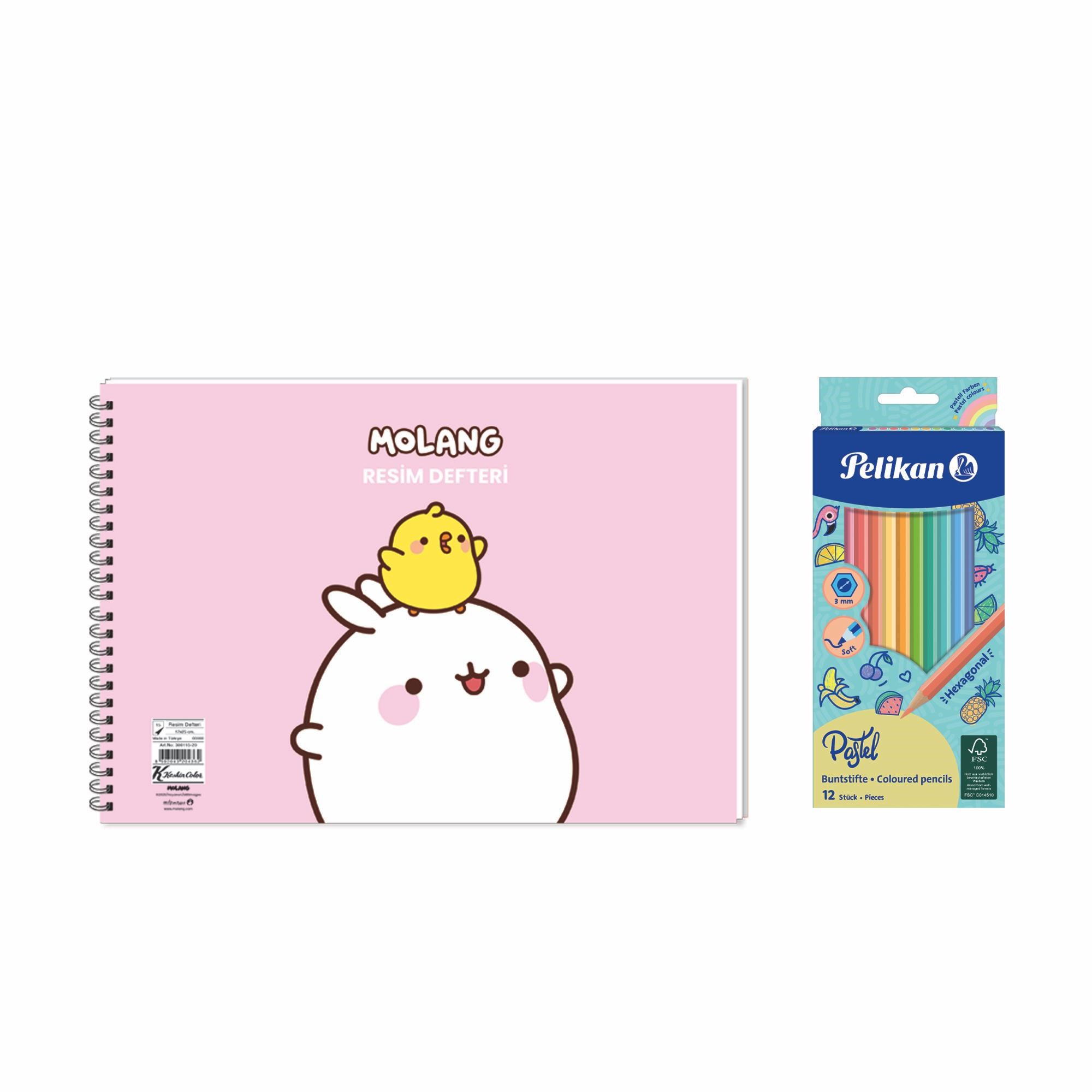 Molang 17x25 Spiralli Resim Defteri - Pelikan Pastel Renkler 12'li Kuru Boya 2'li Set