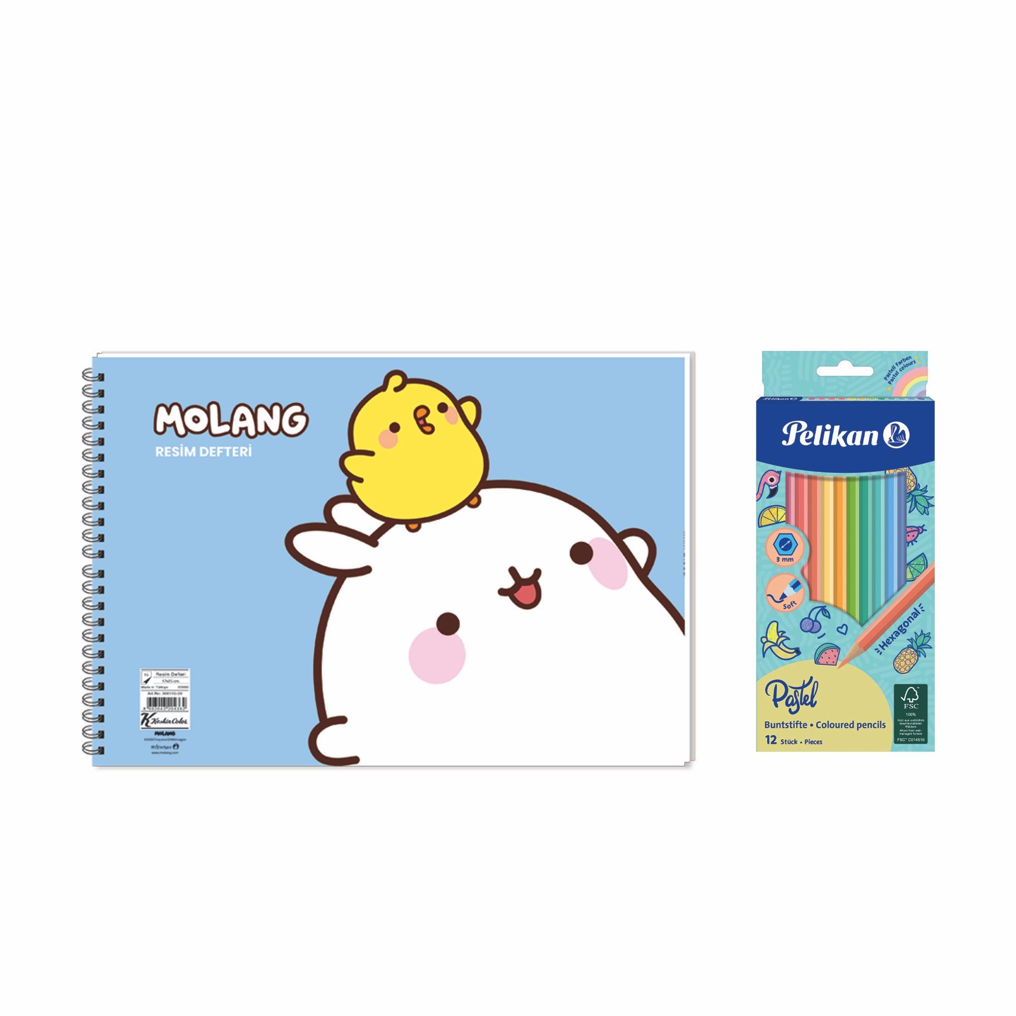 Molang 17x25 Spiralli Resim Defteri - Pelikan Pastel Renkler 12'li Kuru Boya 2'li Set 4