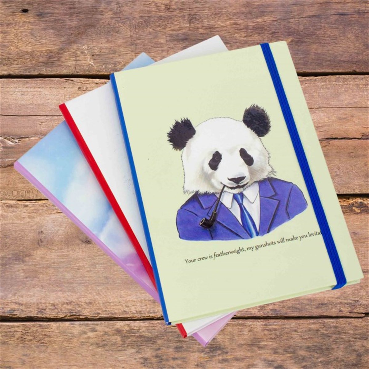 Sevimli Panda Temalı Çizgisiz Defter