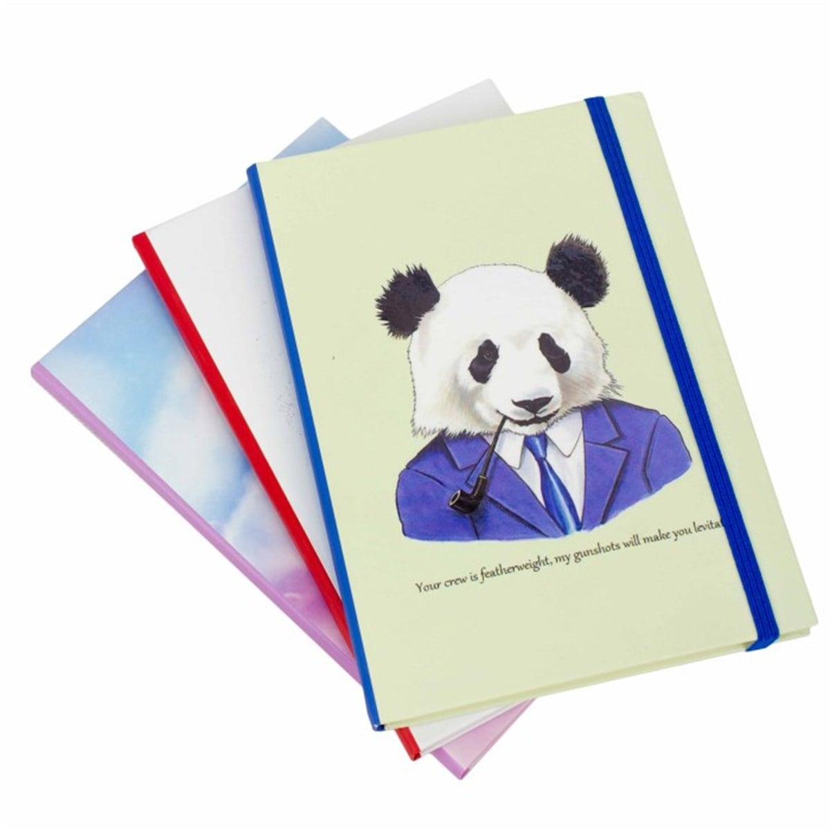 Sevimli Panda Temalı Çizgisiz Defter