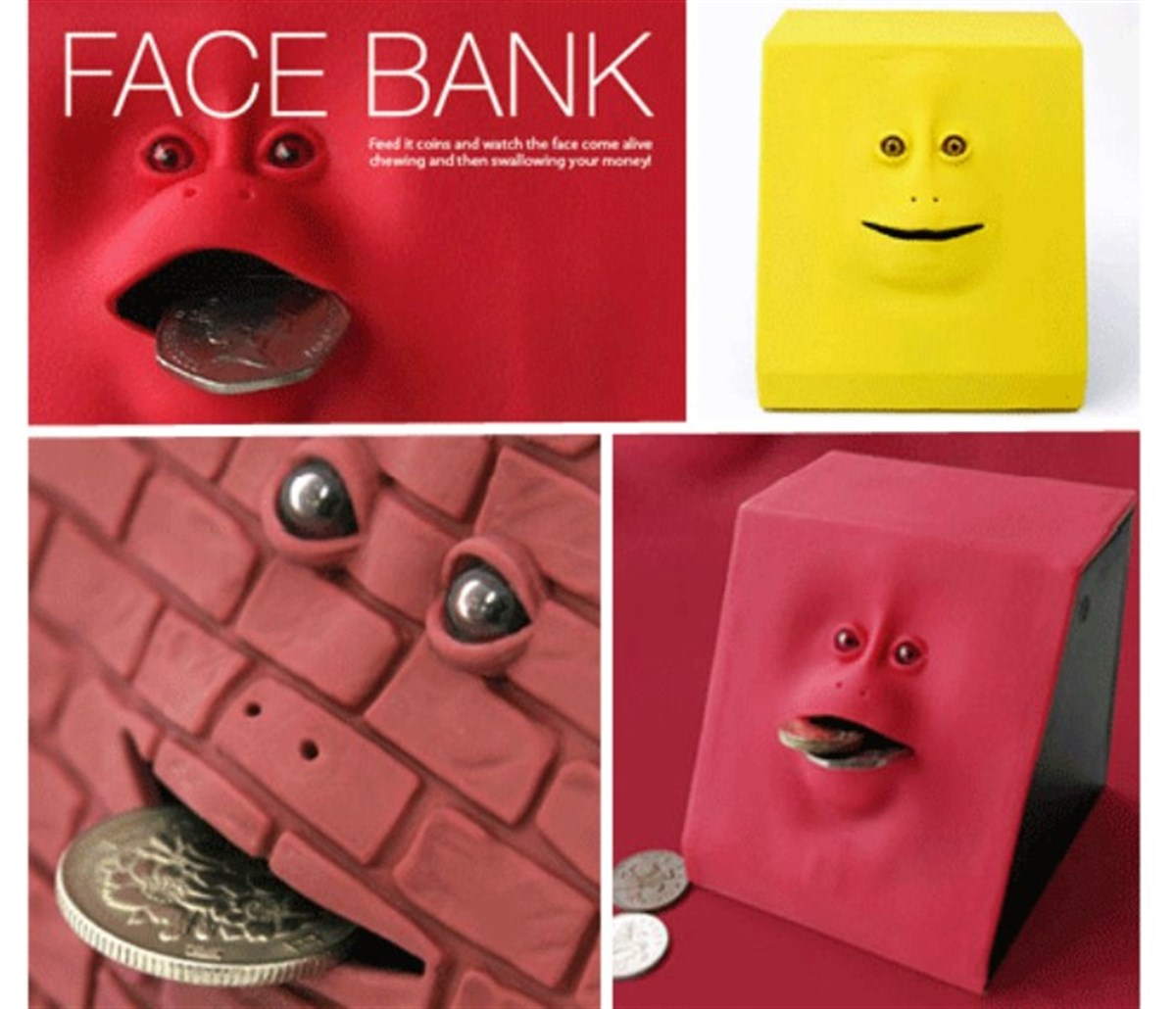 Yüz Kumbara ( Facebank )