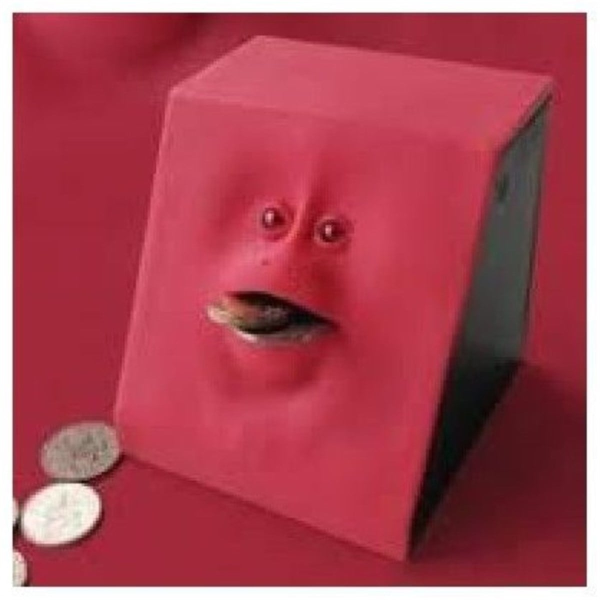 Yüz Kumbara ( Facebank )