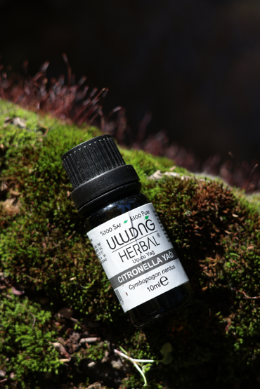 Citronella Yağı 10 ml