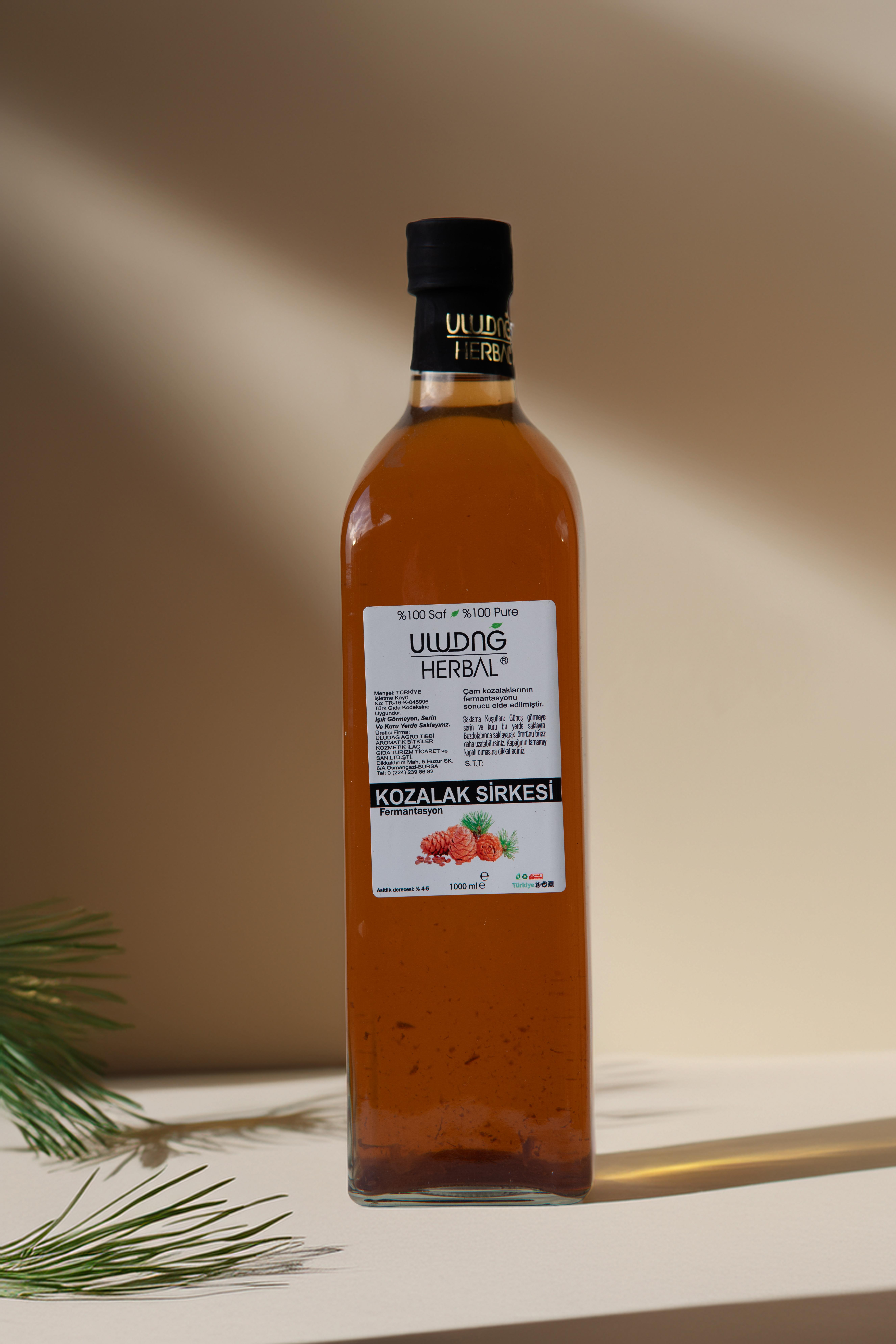 Kozalak Sirkesi 