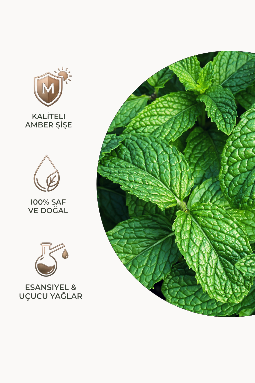 Nane Yağı 10 ml