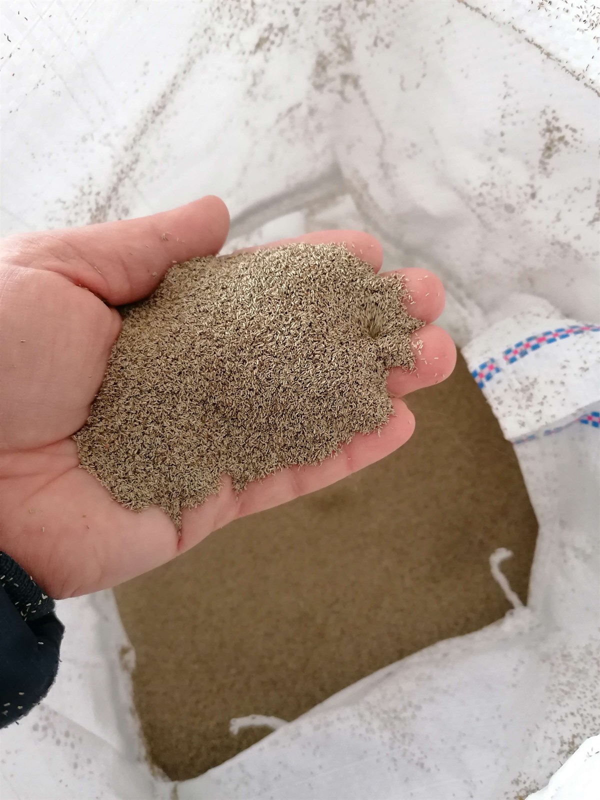 Tıbbi Papatya tohumu(100 g) 