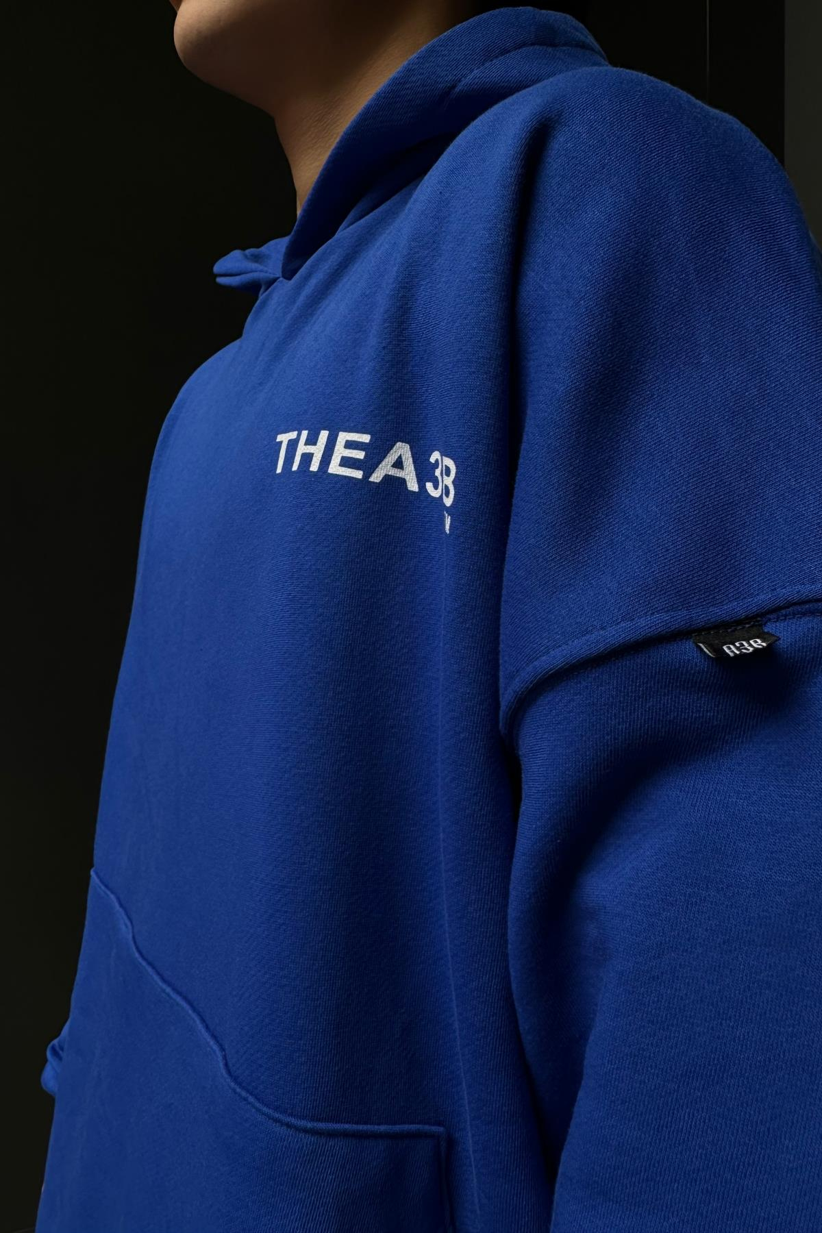 Baskılı Mavi A3B Oversize Sweatshirt SW1045