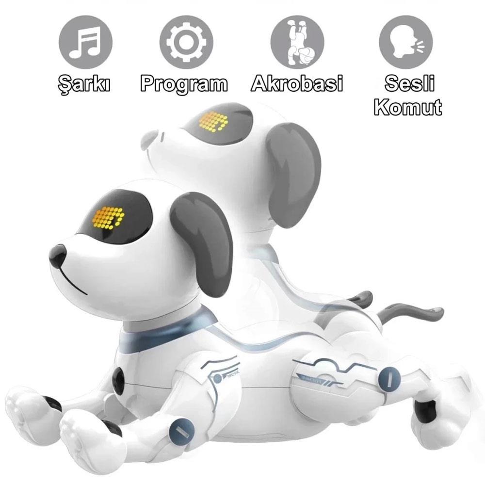 canem-oyuncak-uzaktan-kumandali-akroba-4110-b.jpg