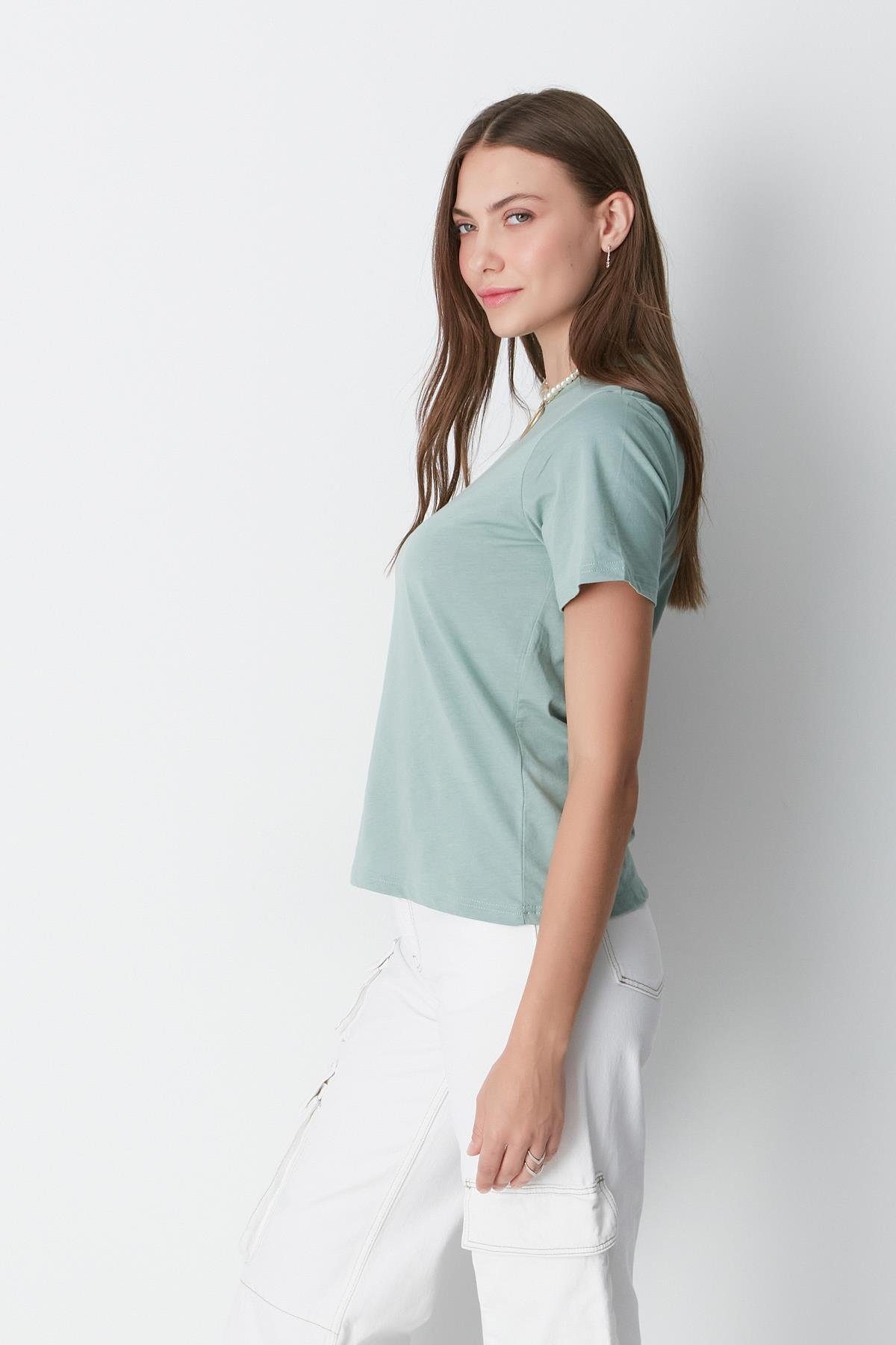 Bisiklet Yaka Kısa Kol 2'li Basic T-Shirt 960 Çağla/Füme