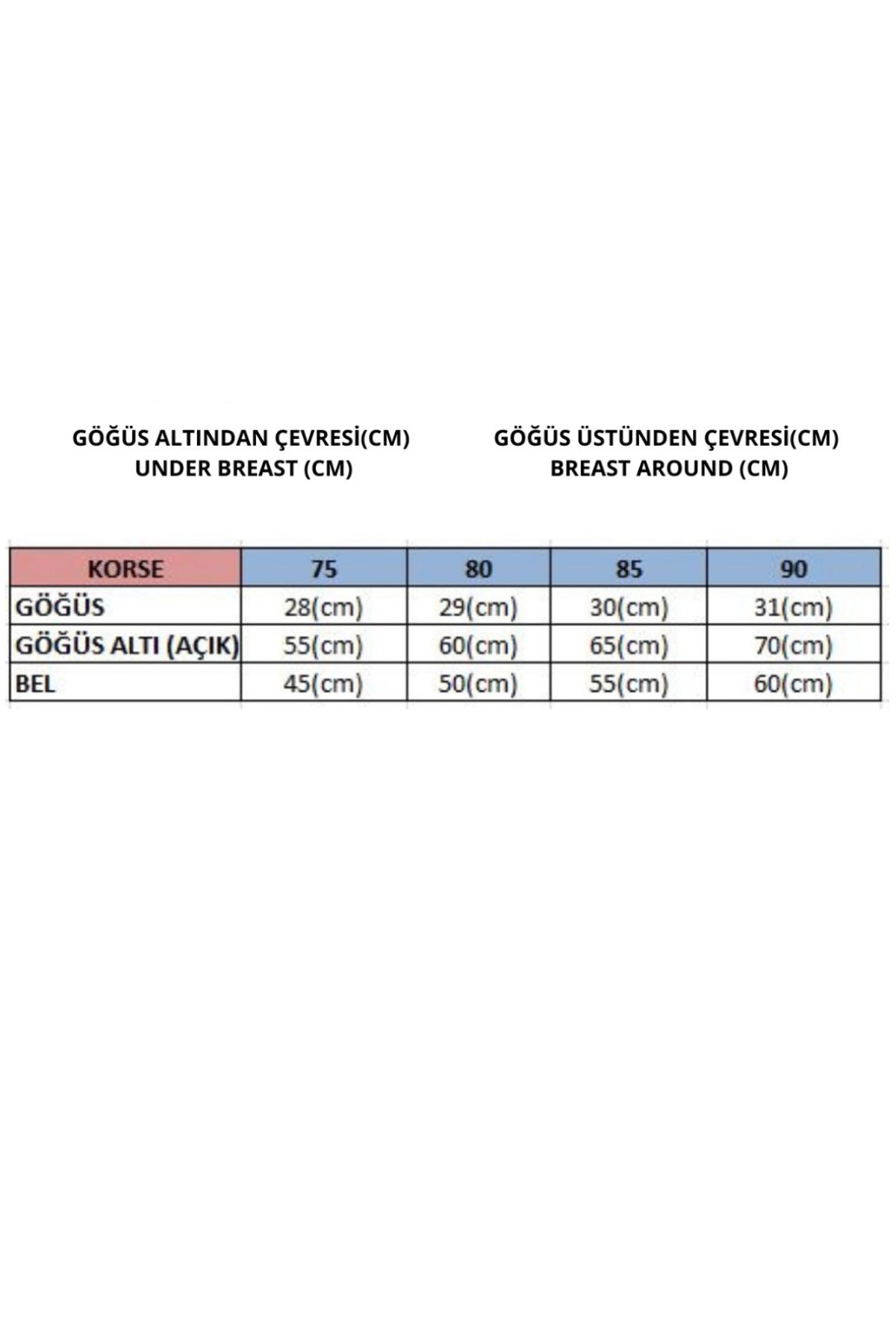 C&City Transparan Fantezi Omuz Tül Detaylı Bustiyer 6004 Siyah