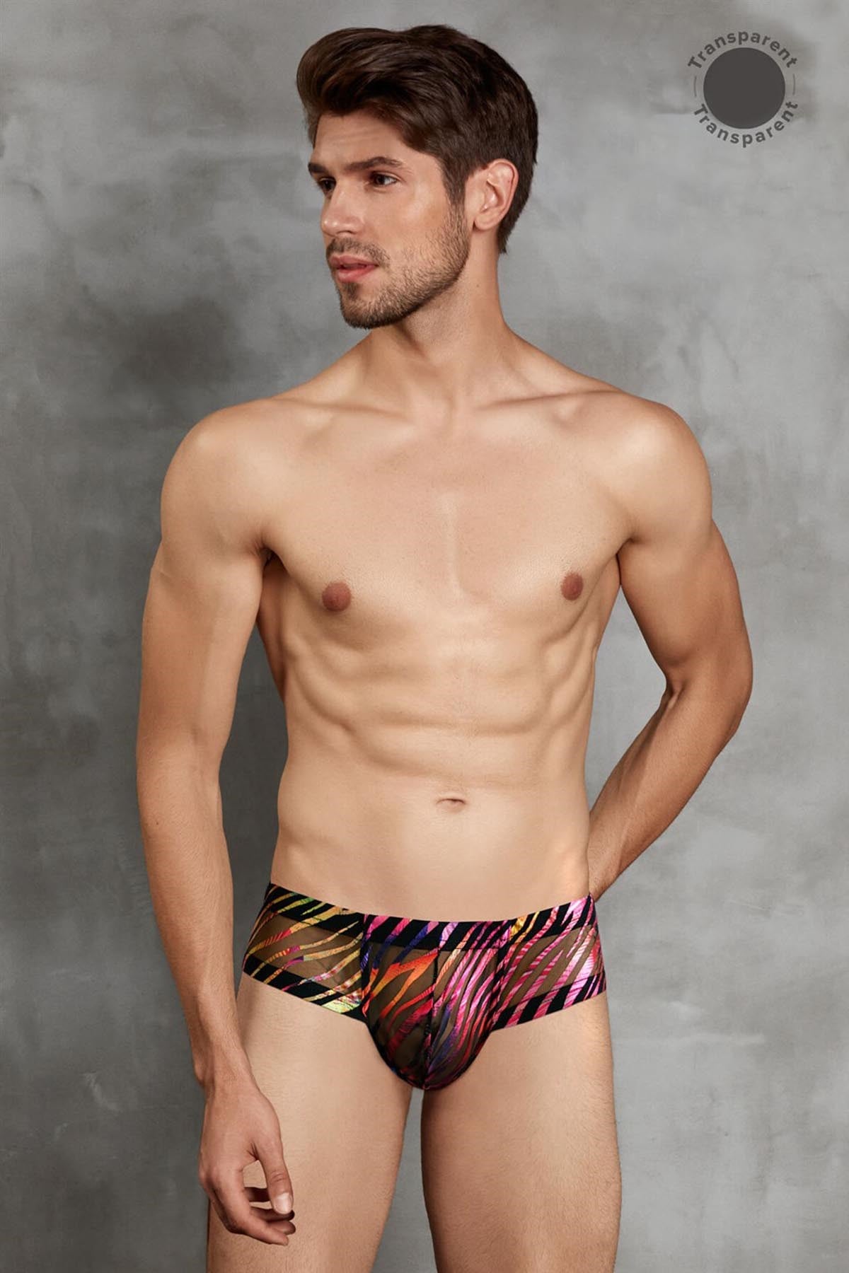 Doreanse 1587 Erkek Boxer Gökkuşağı