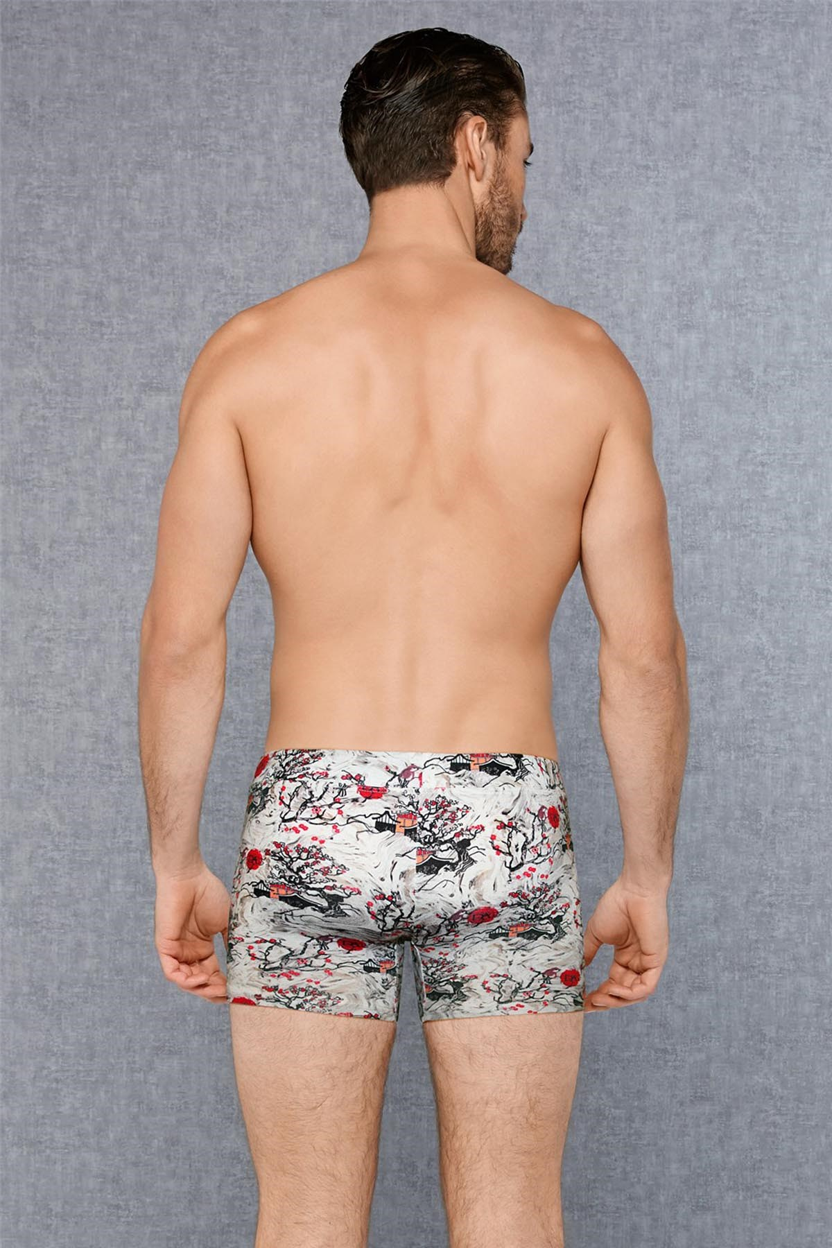 Doreanse 1808 Erkek Boxer Year Of Dog