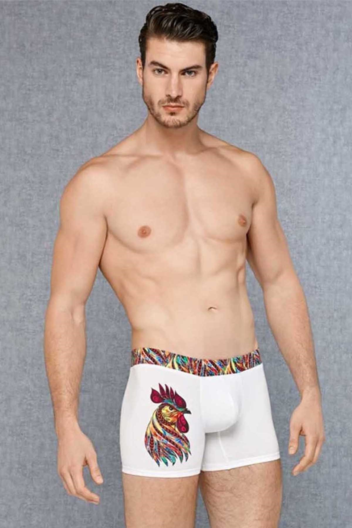 Doreanse 1838 Erkek Boxer Görsel