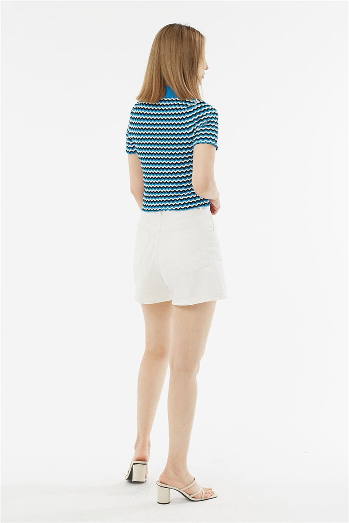 Avrile Polo Yaka Zigzag Desenli Kazak  TURKUAZ-SİYAH  A92102-S