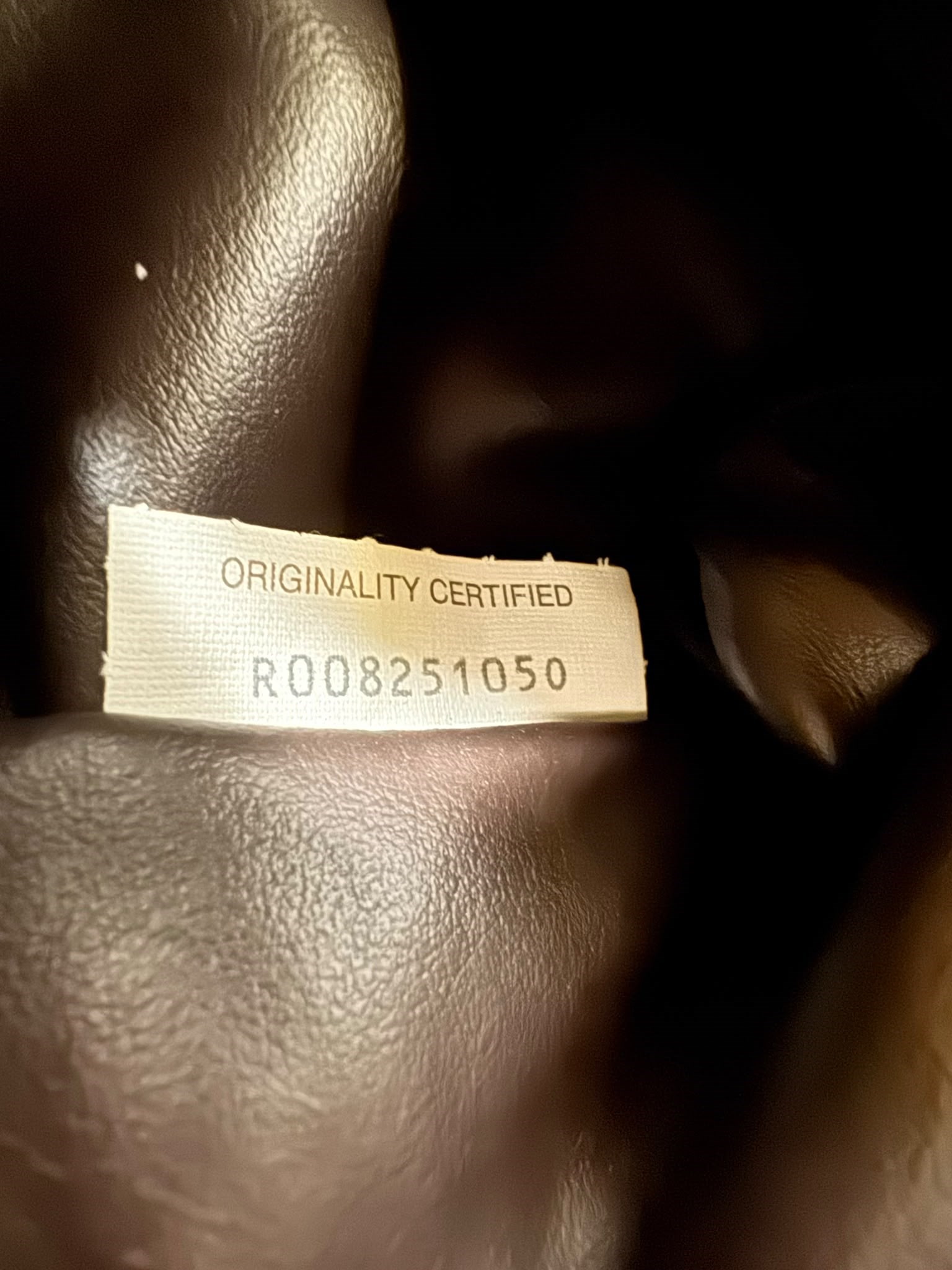 BOTTEGA VENETA LARGE HOP BAG