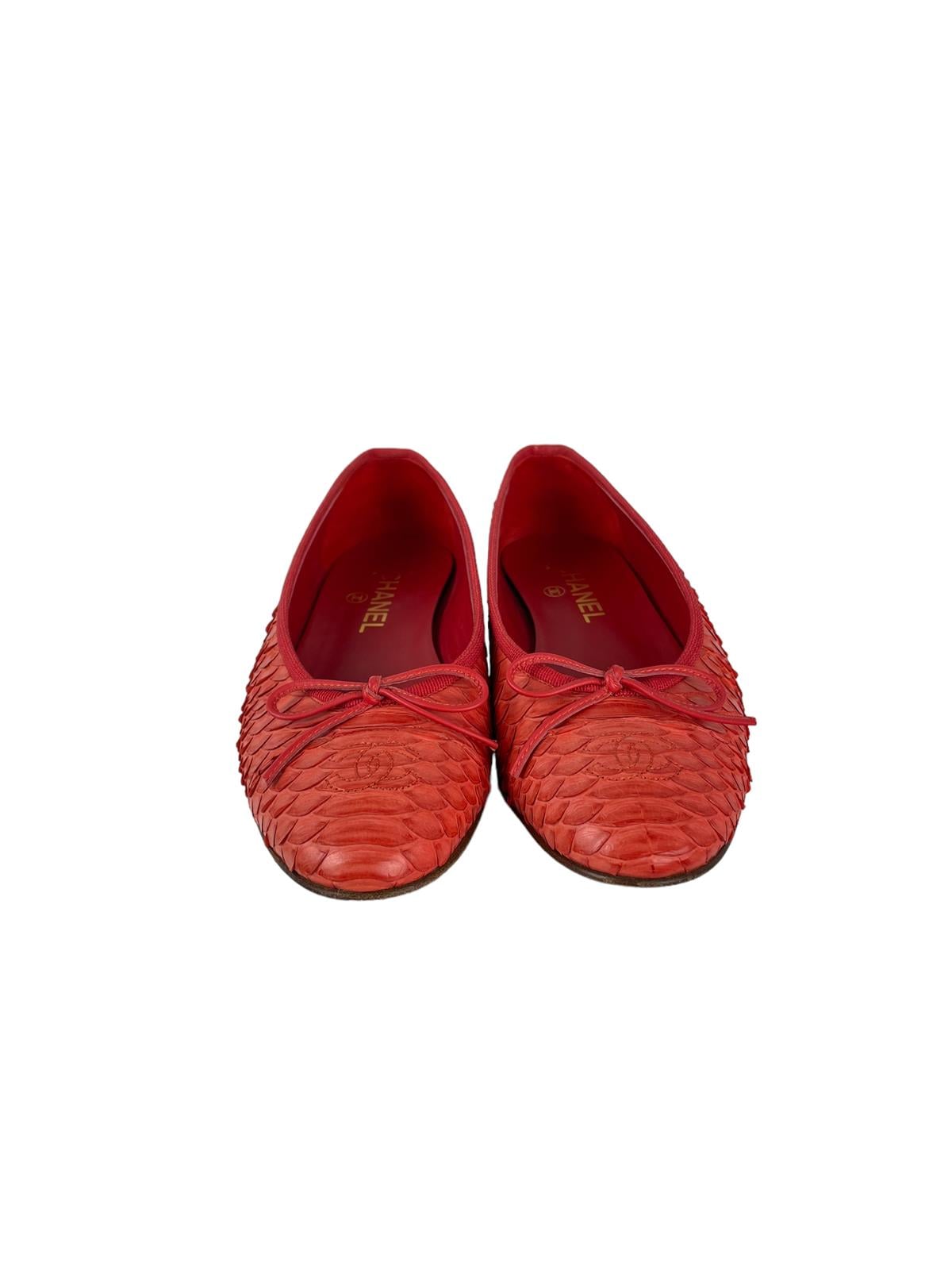 CHANEL PYTHON LEATHER CC BALET FLATS