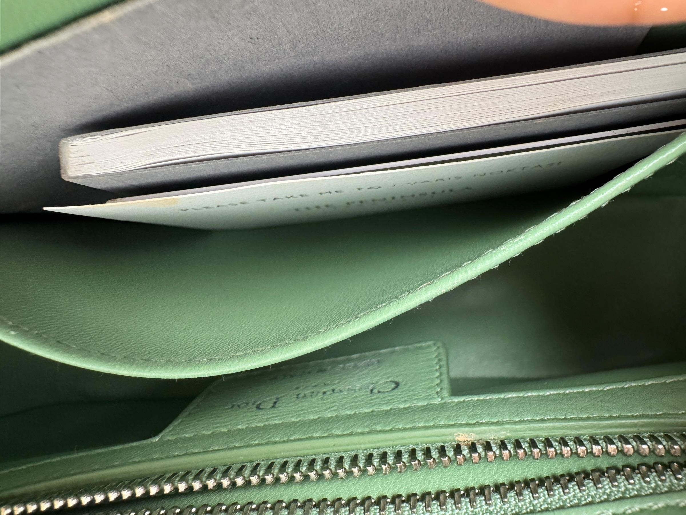 CHRISTIAN DIOR LIGHT GREEN SMALL CARO BAG 