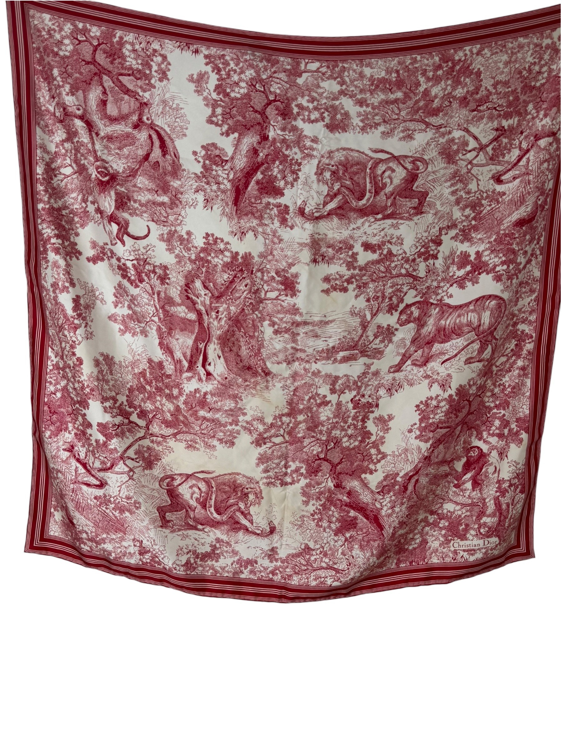 CHRISTIAN DIOR SAUVAGE SCARF