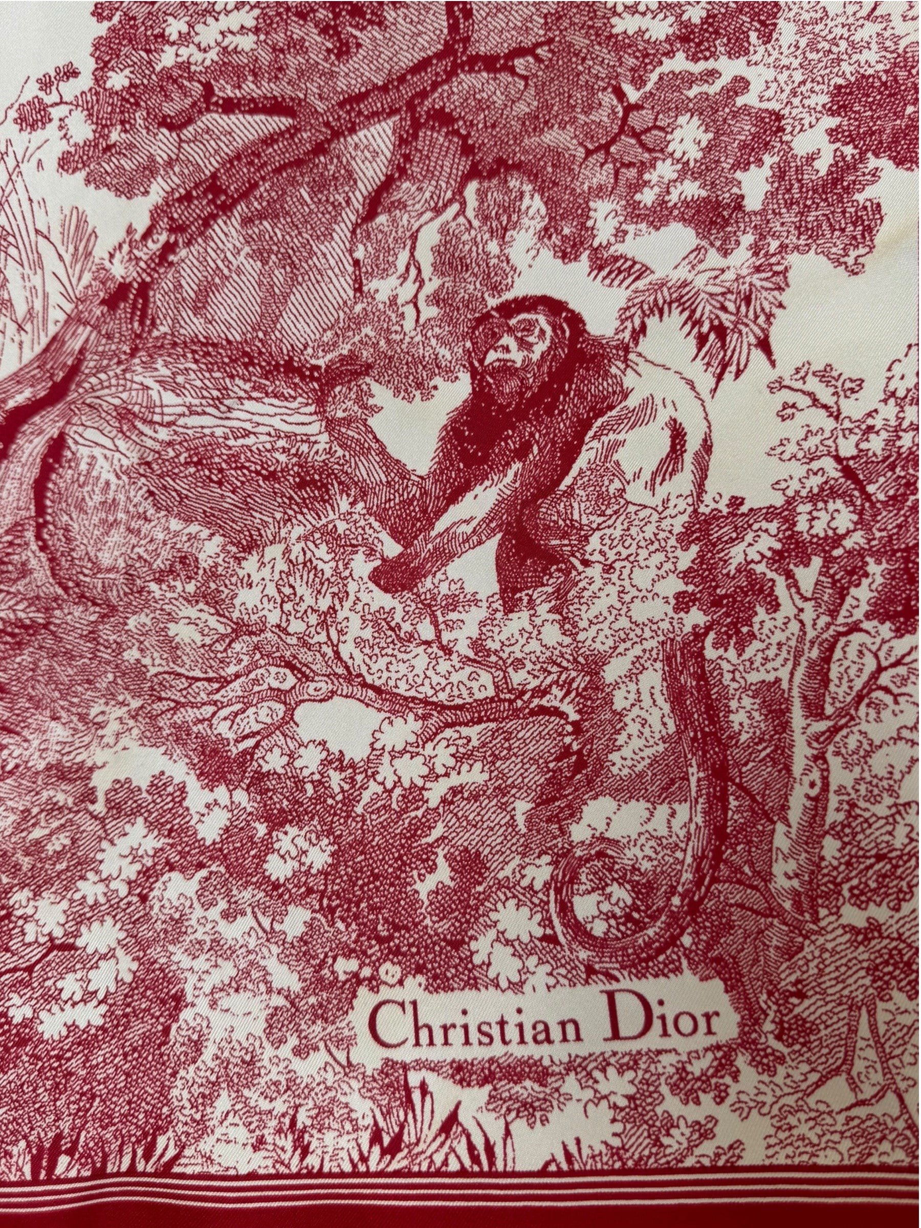 CHRISTIAN DIOR SAUVAGE SCARF
