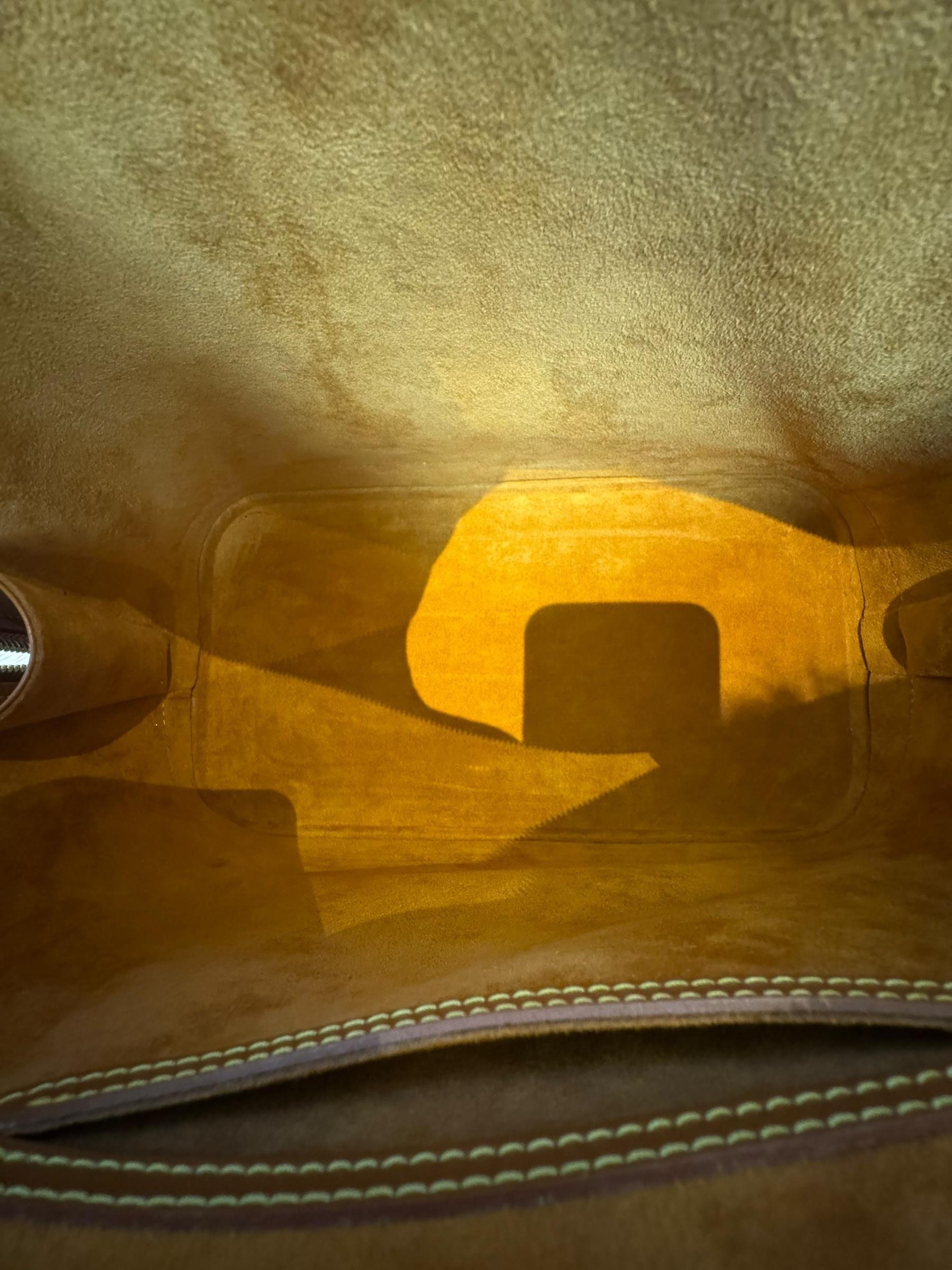 LOUIS VUITTON BROWN EPI ALMA BAG