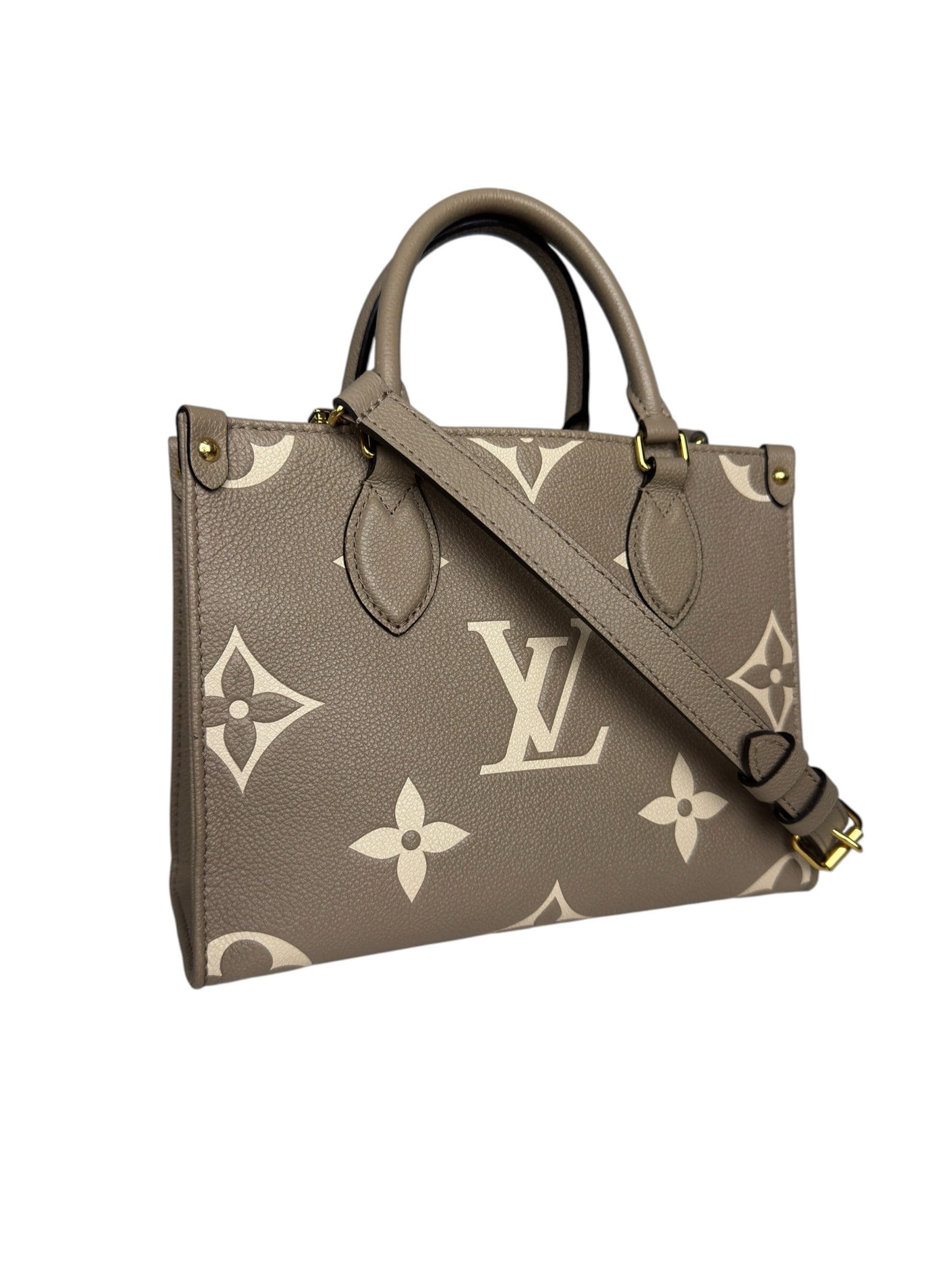 LOUIS VUITTON EMPREINTE ON THE GO PM BAG