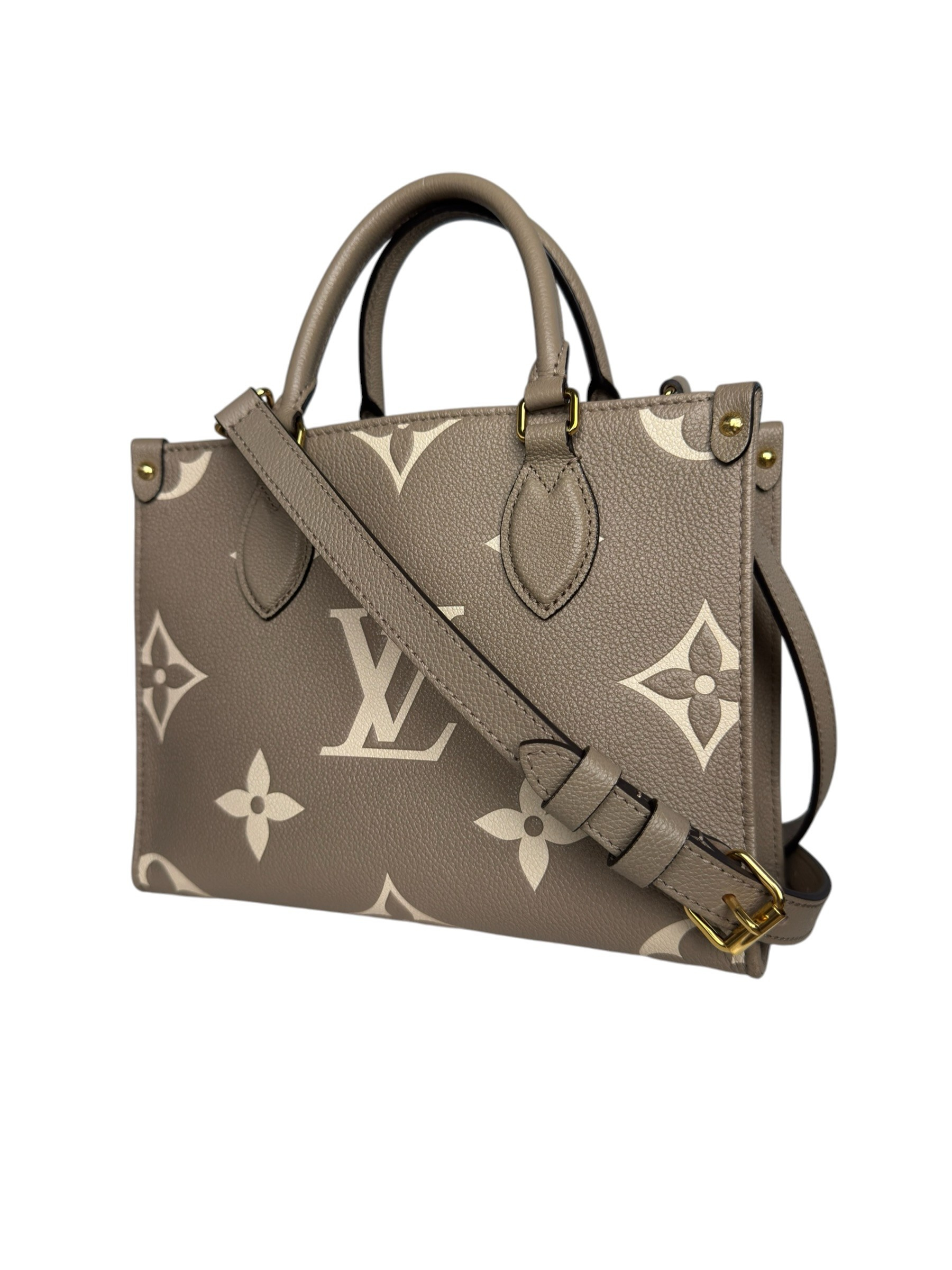 LOUIS VUITTON EMPREINTE ON THE GO PM BAG