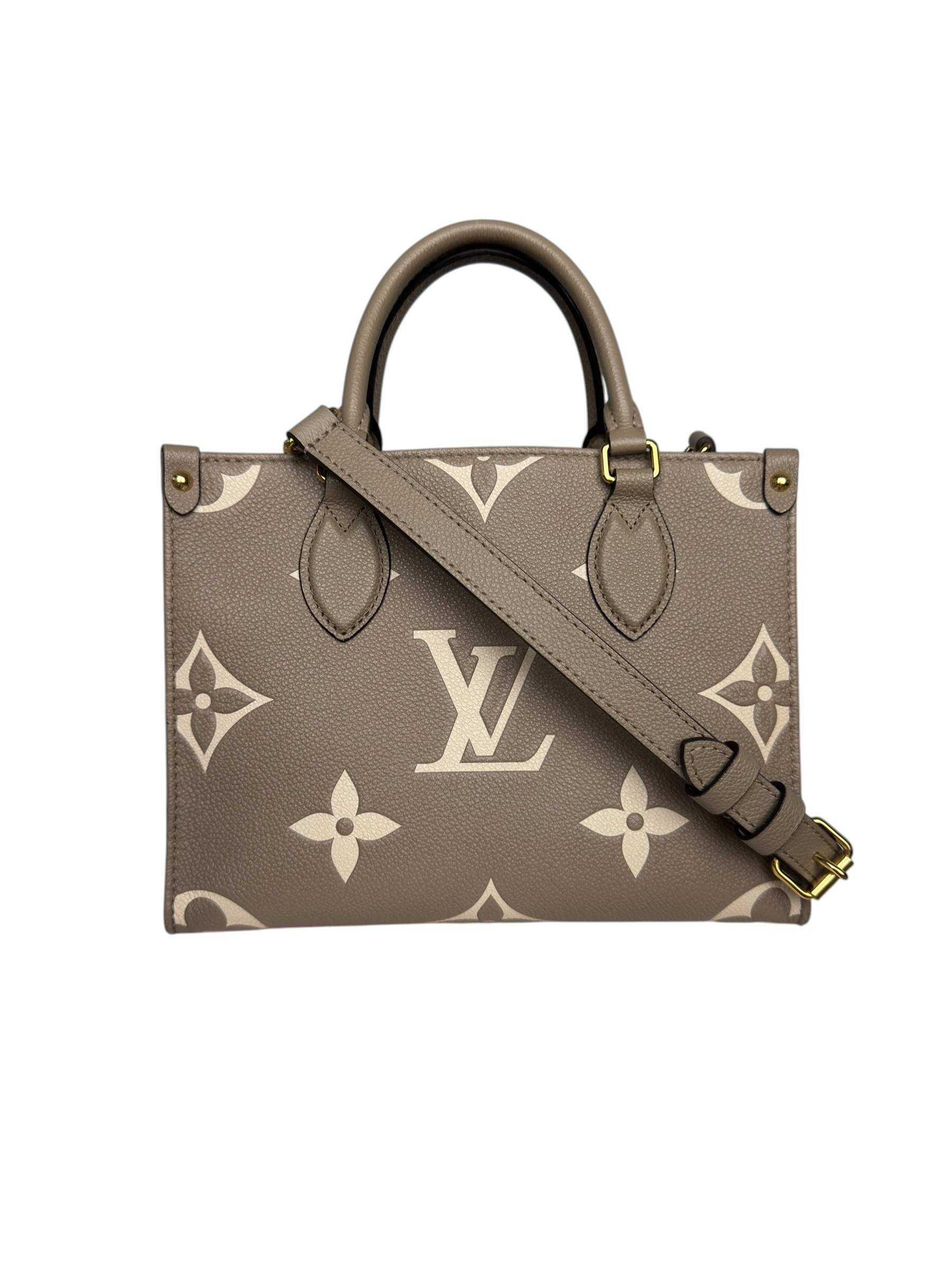 LOUIS VUITTON EMPREINTE ON THE GO PM BAG