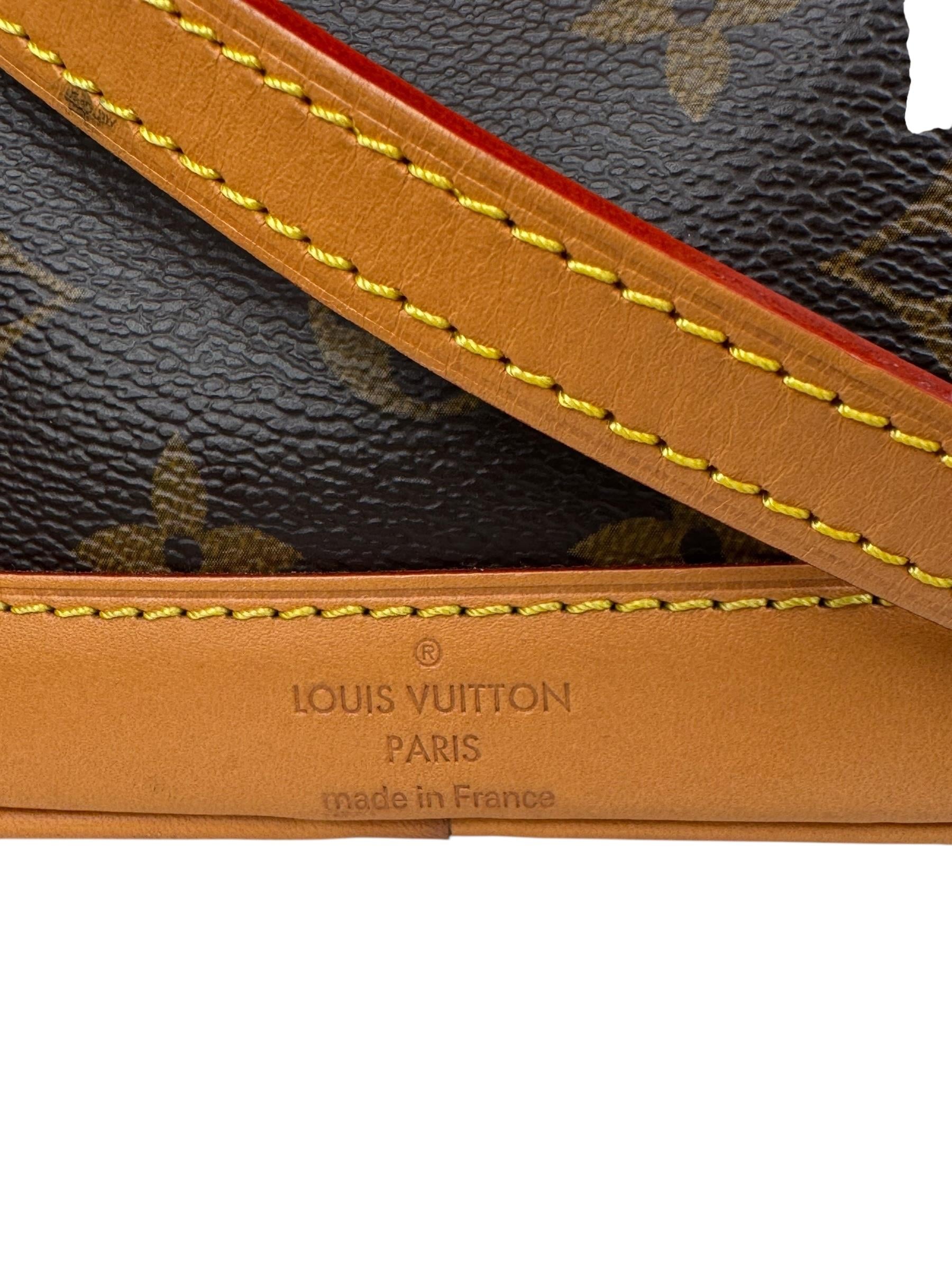 LOUIS VUITTON NANO NOE BUCKET BAG