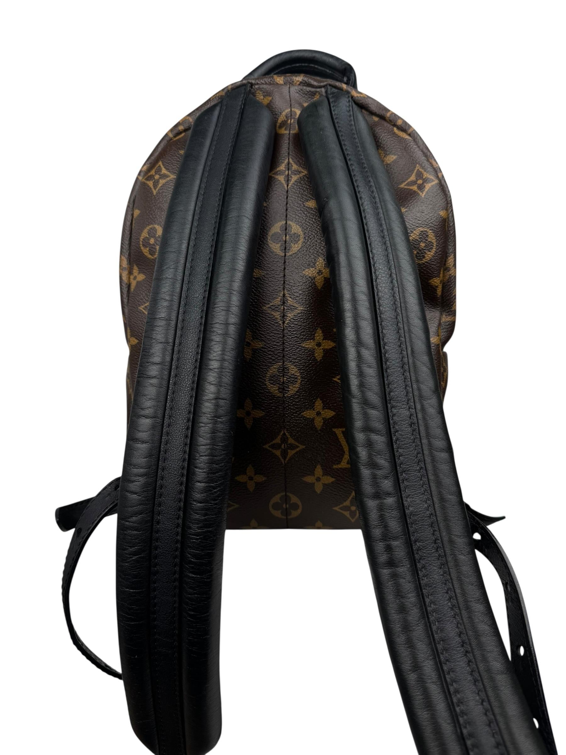 LOUIS VUITTON PALM SPRINGS PM BACKPACK