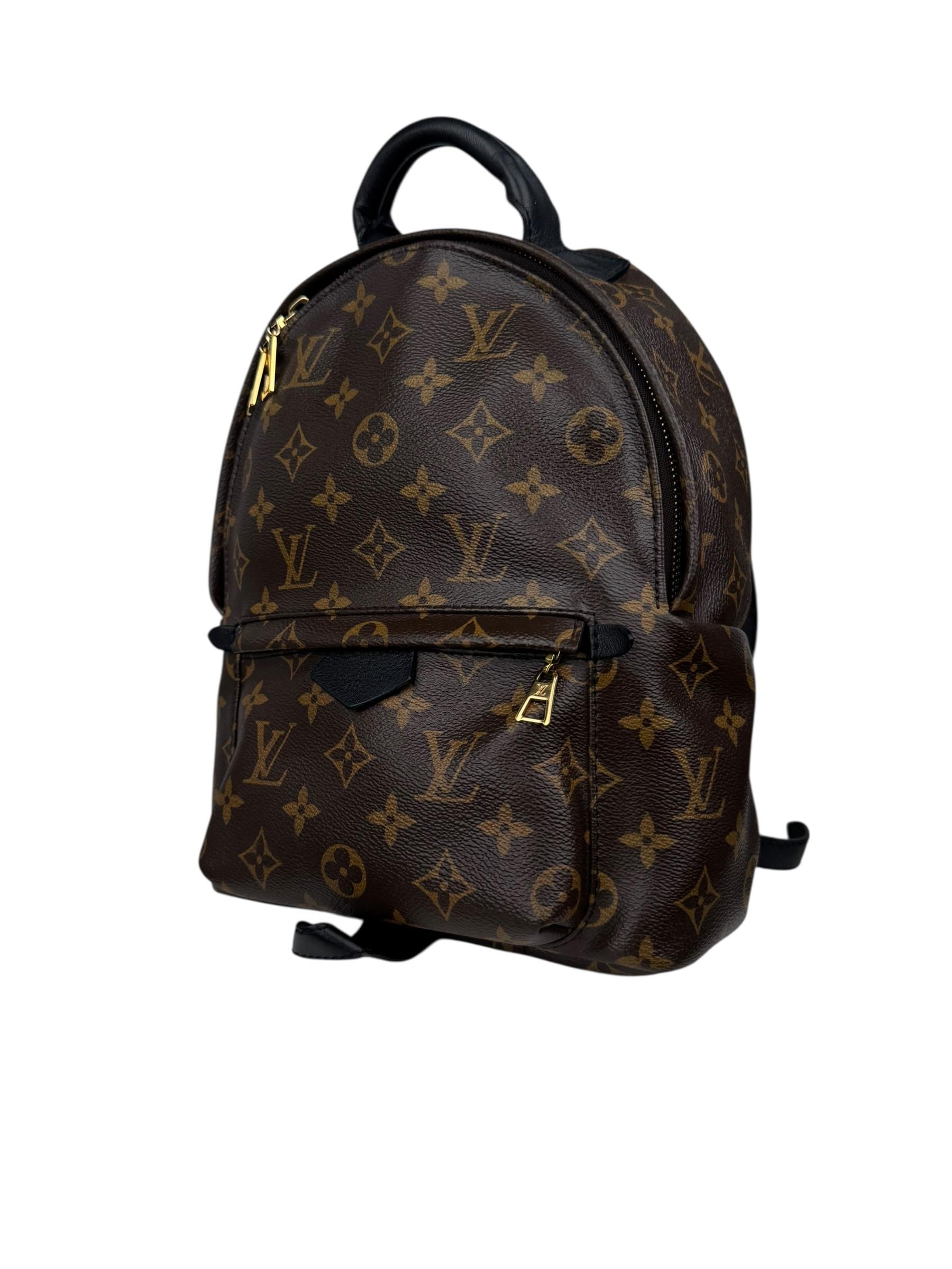 LOUIS VUITTON PALM SPRINGS PM BACKPACK