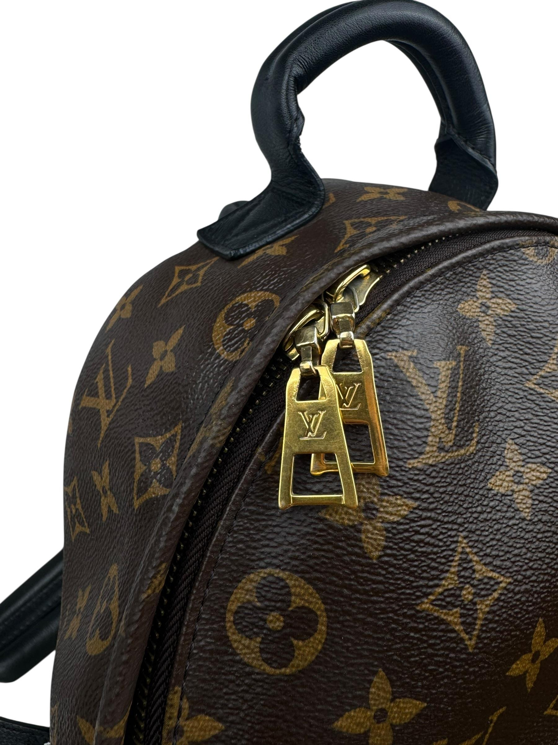 LOUIS VUITTON PALM SPRINGS PM BACKPACK