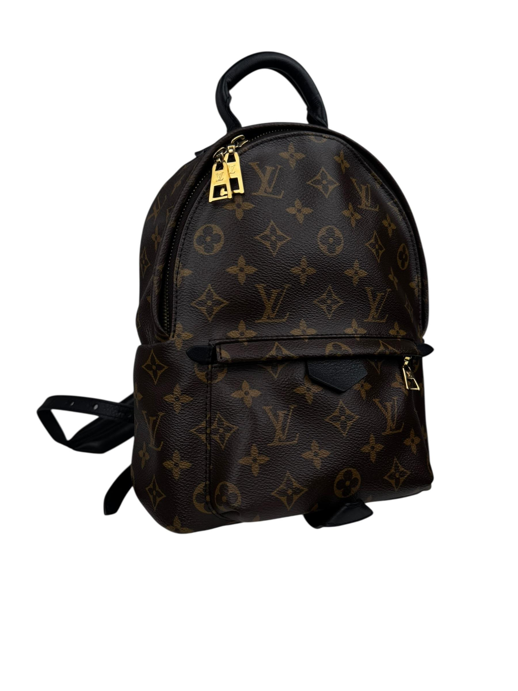 LOUIS VUITTON PALM SPRINGS PM BACKPACK