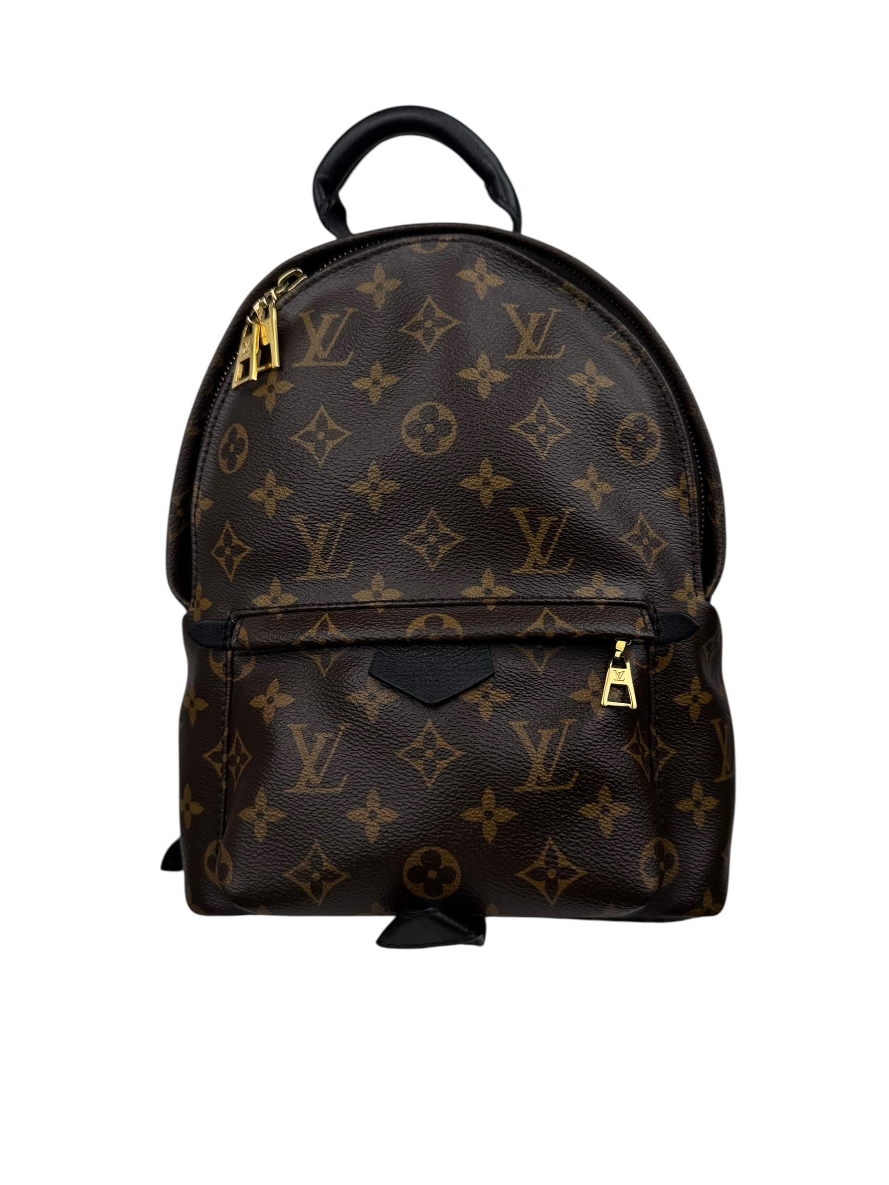 LOUIS VUITTON PALM SPRINGS PM BACKPACK