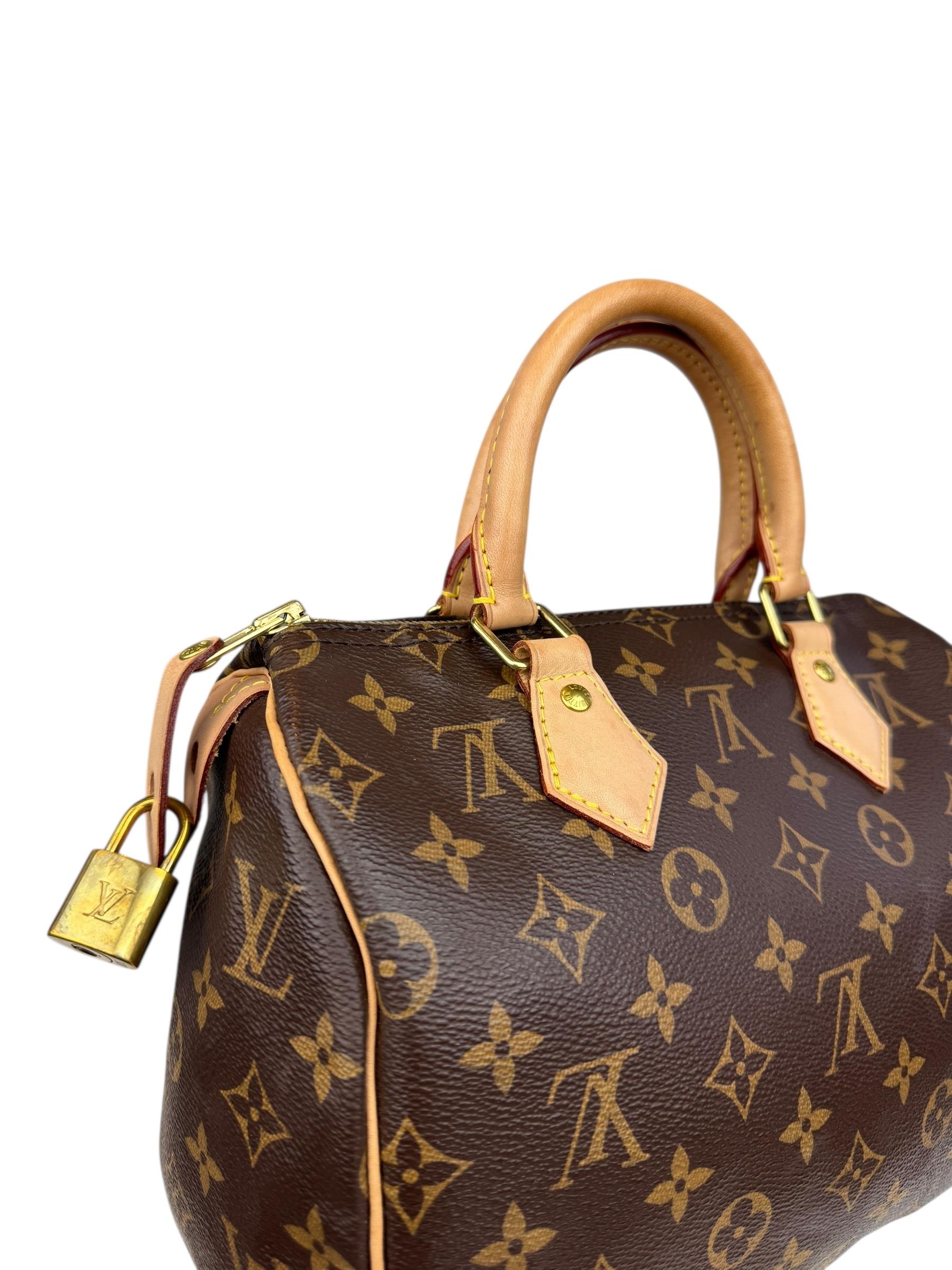 LOUIS VUITTON SPEEDY 25 BAG