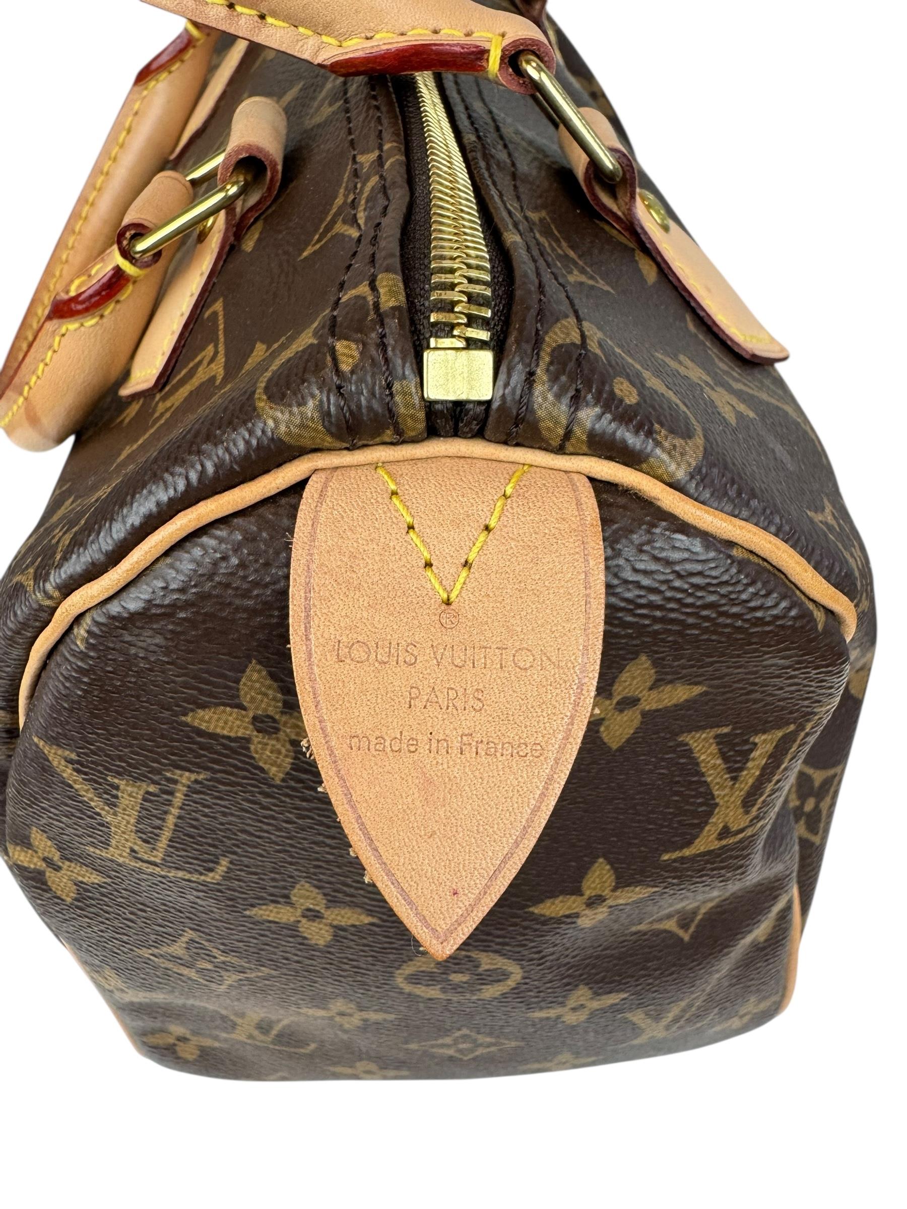 LOUIS VUITTON SPEEDY 25 BAG
