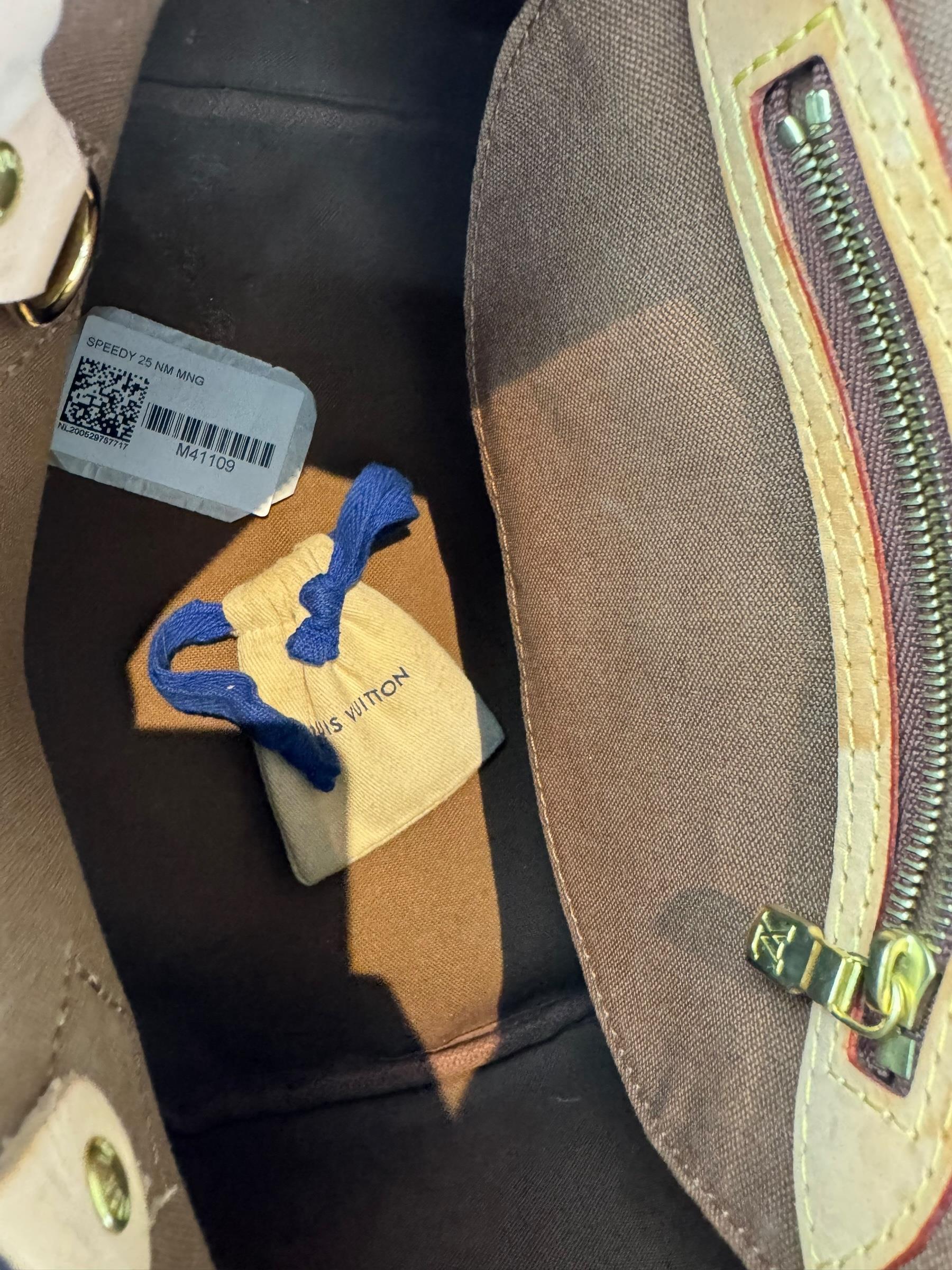 LOUIS VUITTON SPEEDY 25 BAG