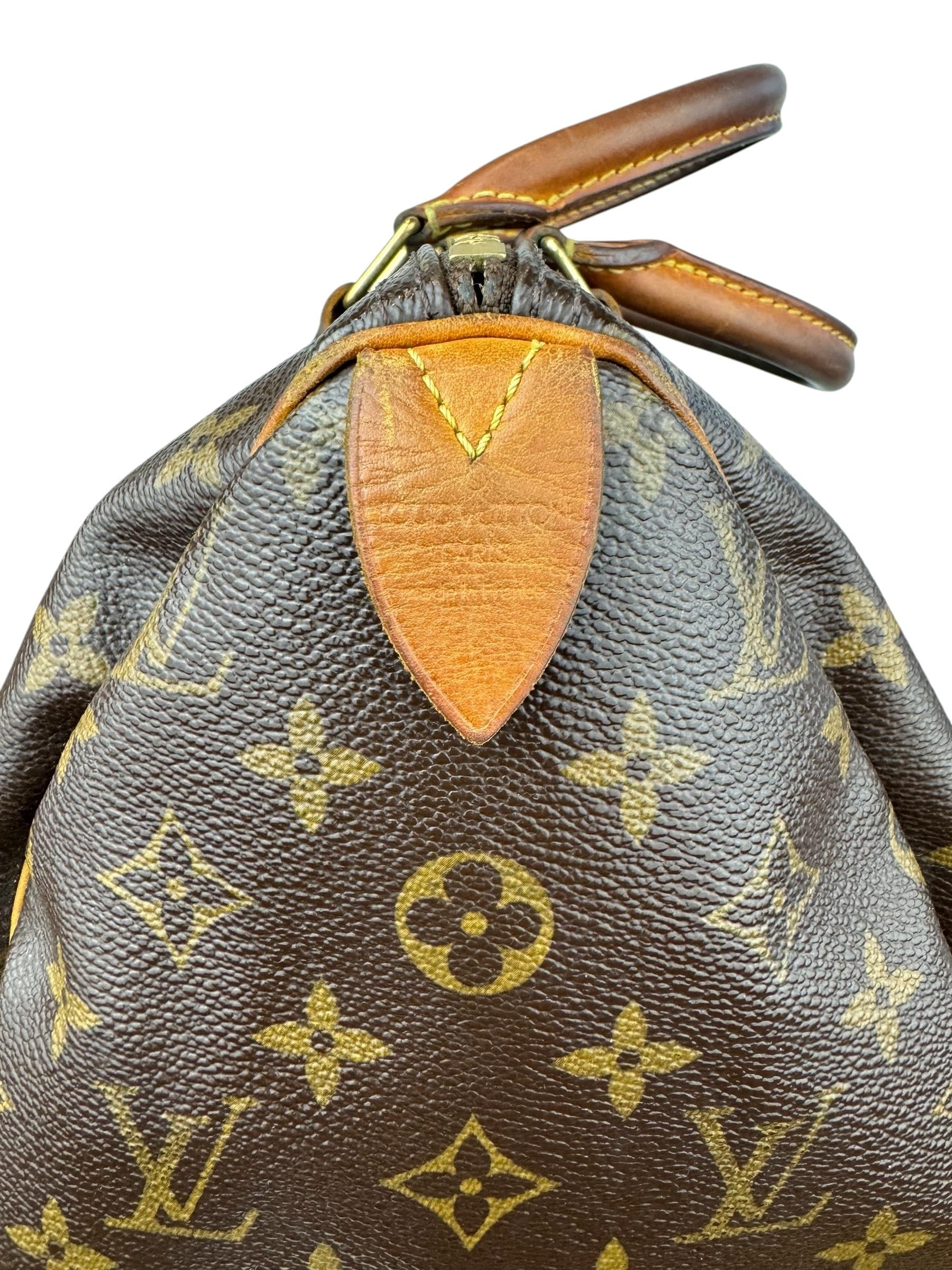 LOUIS VUITTON SPEEDY 30 HANDBAG