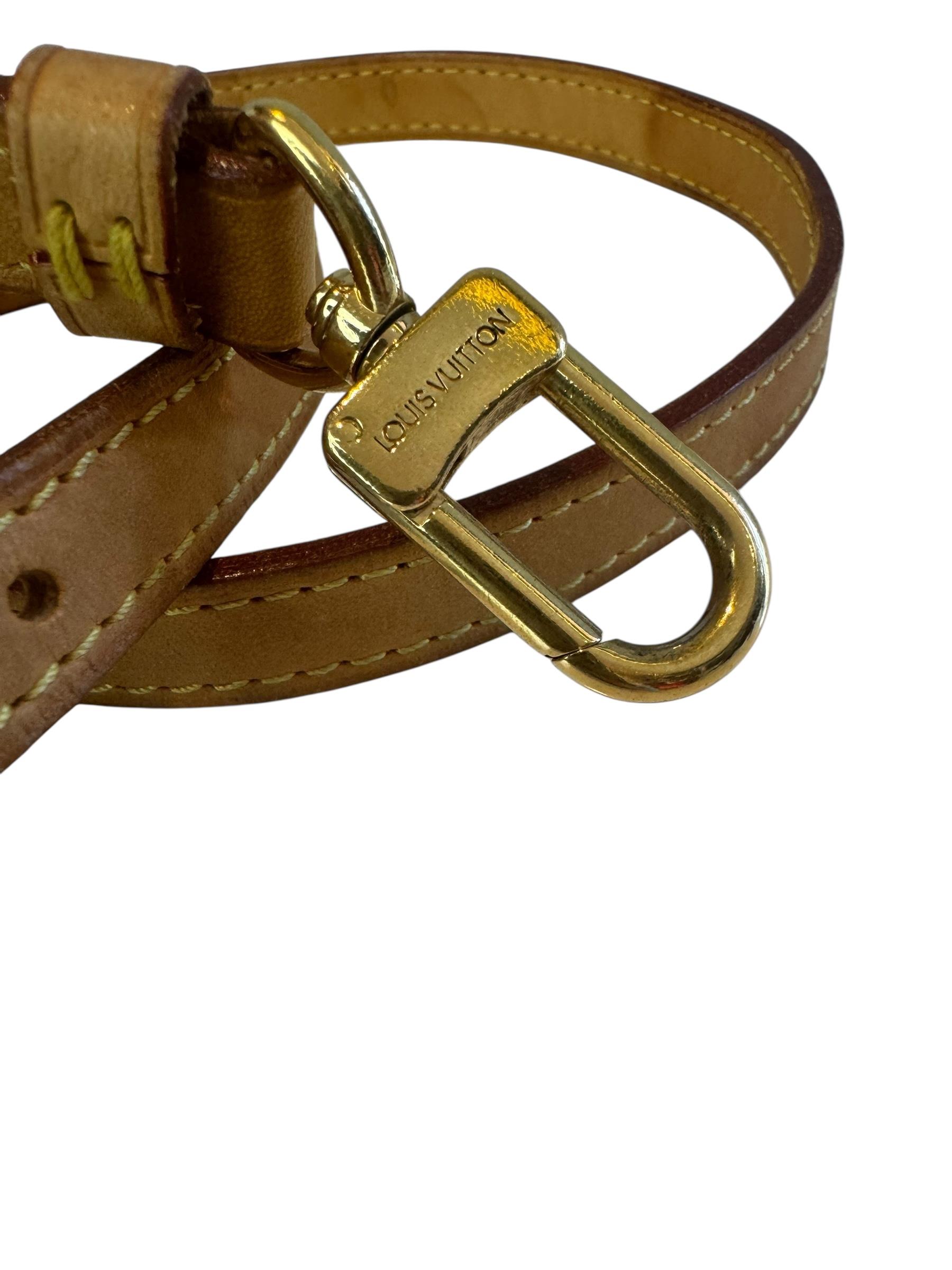 LOUIS VUITTON STRAP