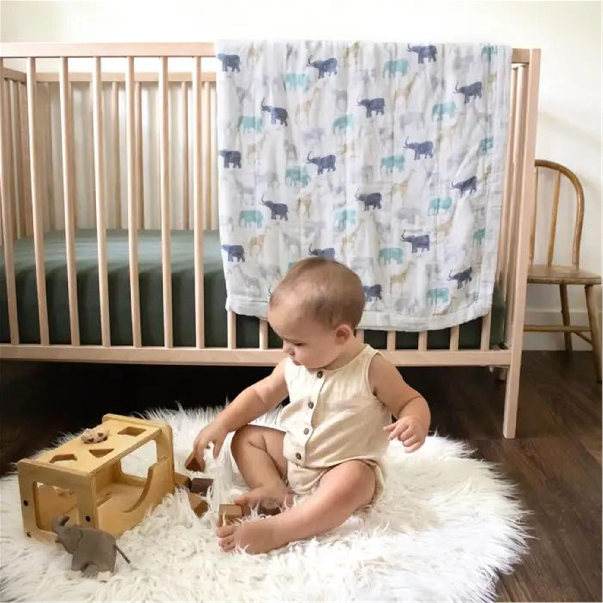 Aden & Anais - Expedition Organik Dream Battaniye