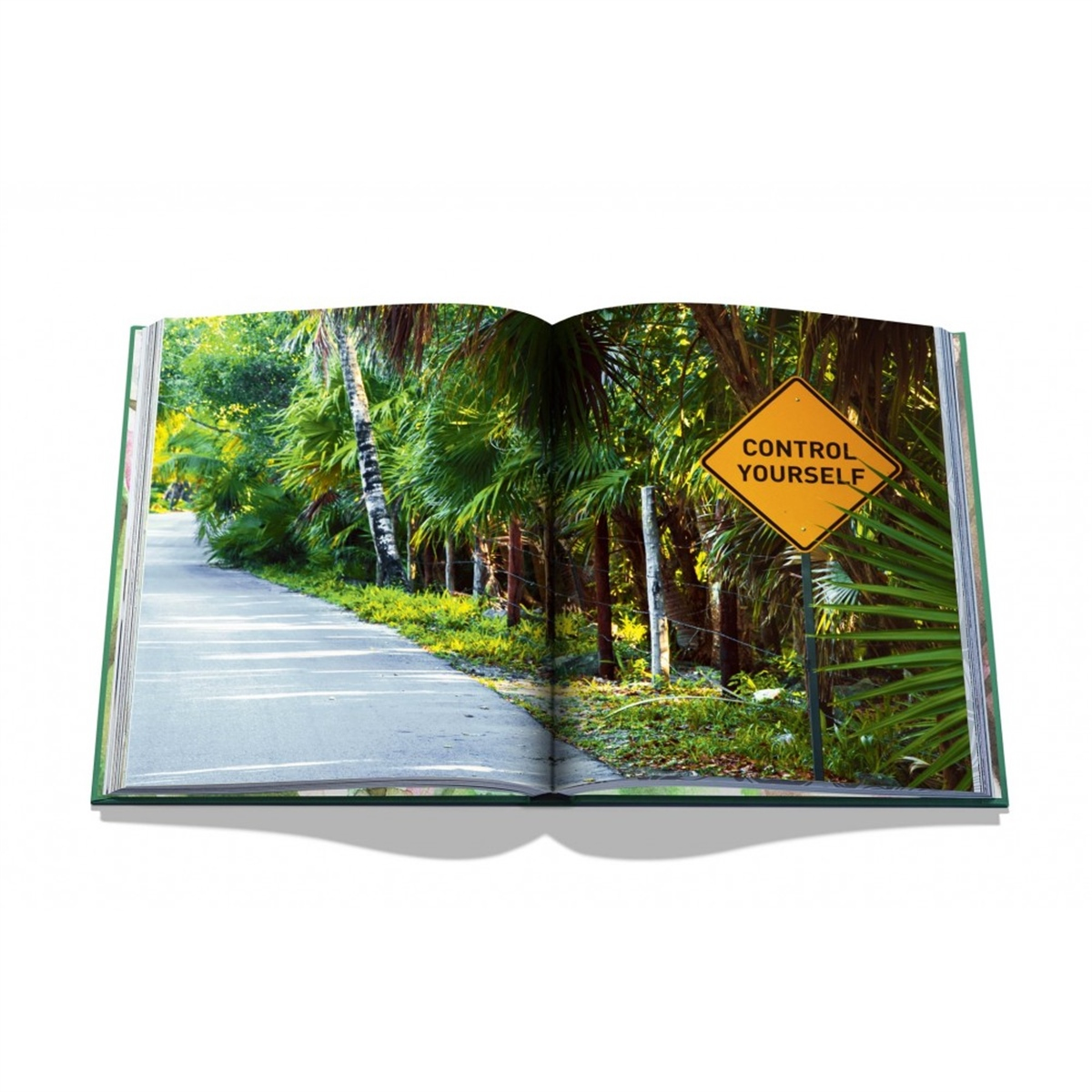 Assouline - Tulum Gypset