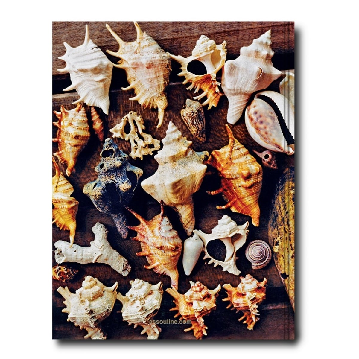 Assouline - Zanzibar