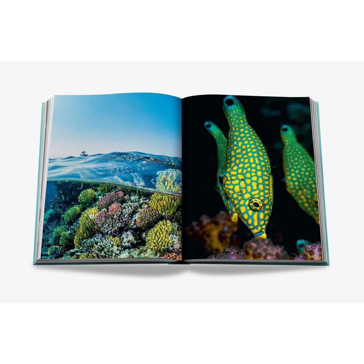 Assouline - Red Sea The Saudi Coast Kitap
