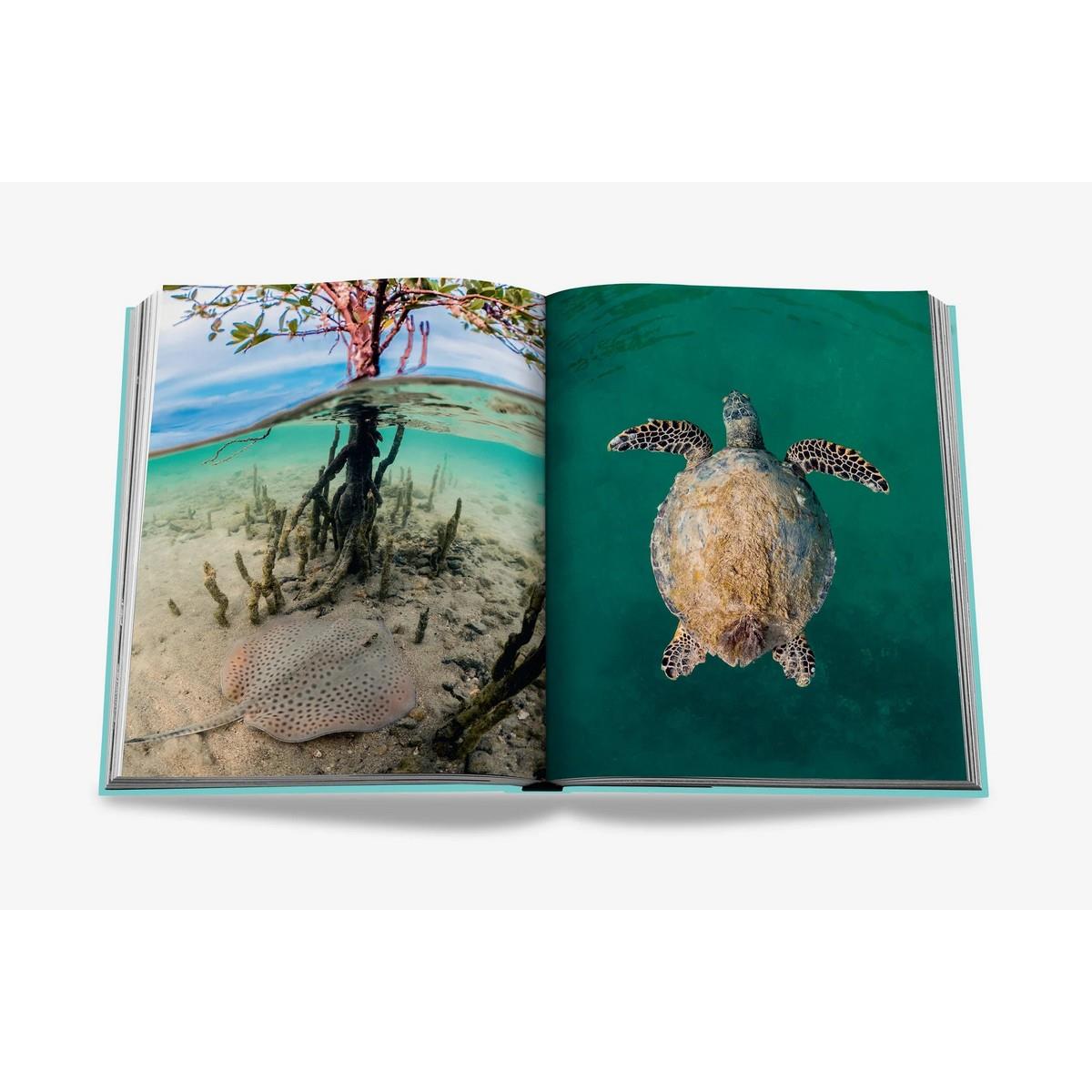 Assouline - Red Sea The Saudi Coast Kitap